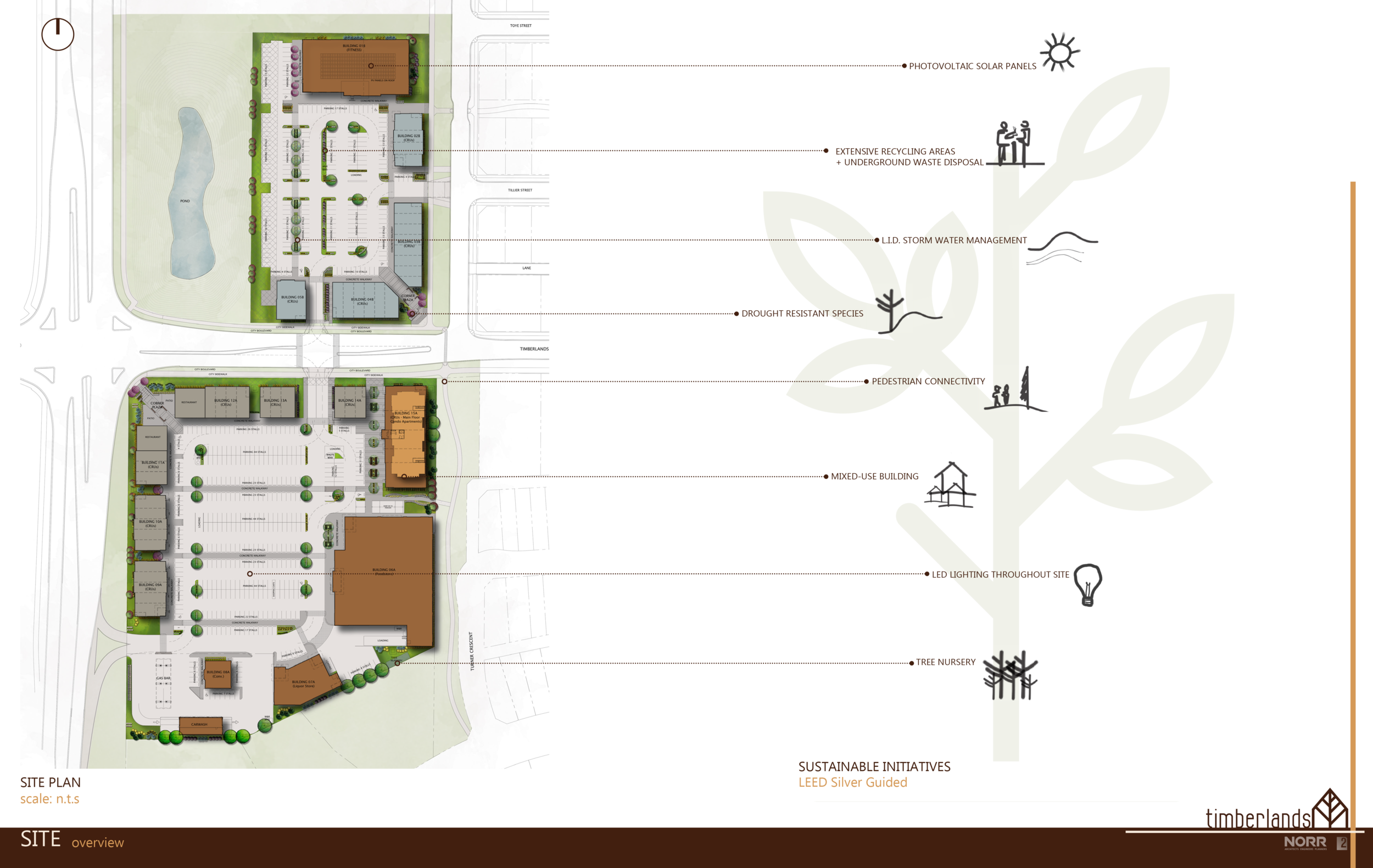 Timberlands Market Site Plan