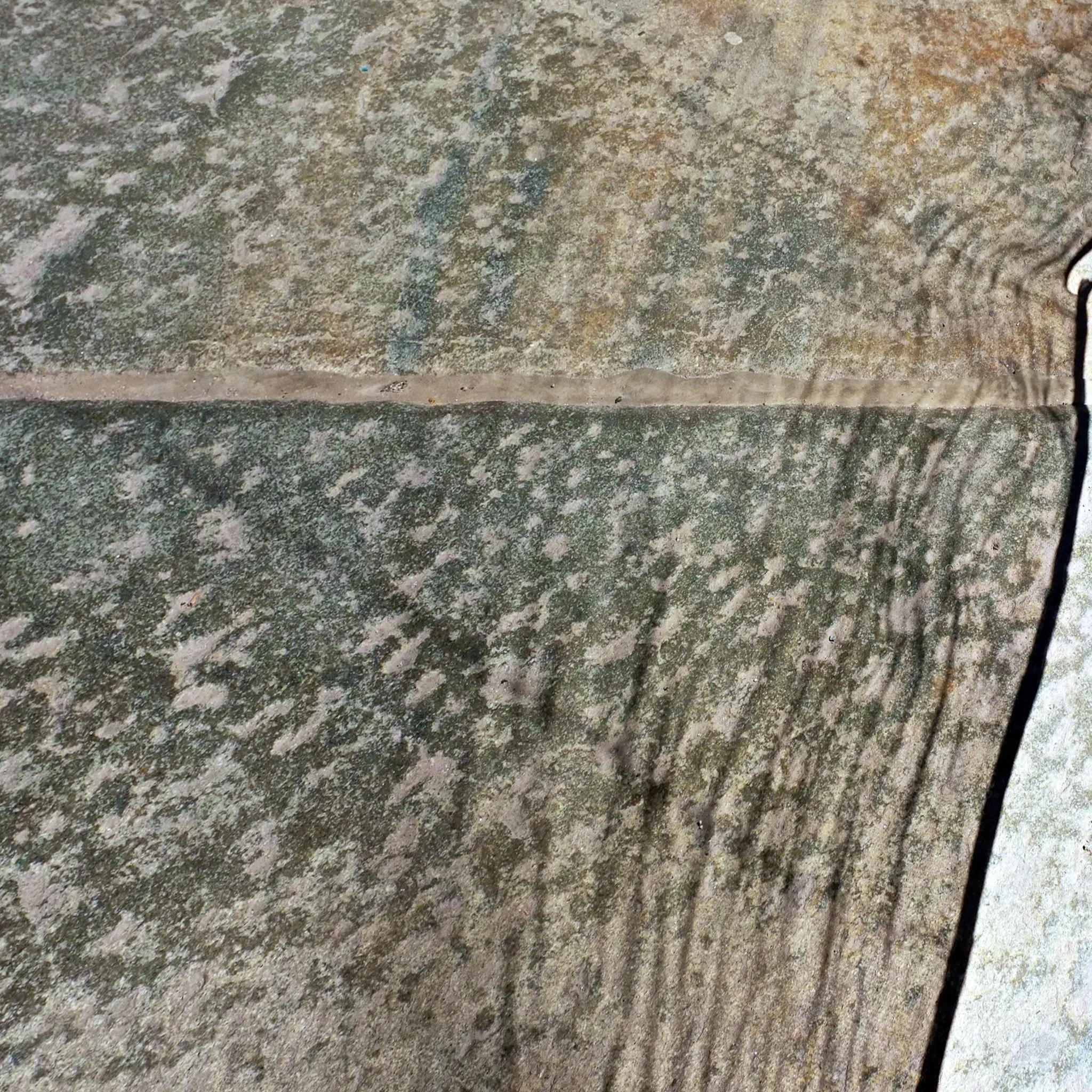 DSCF3378 - Version 2-Edit.jpg