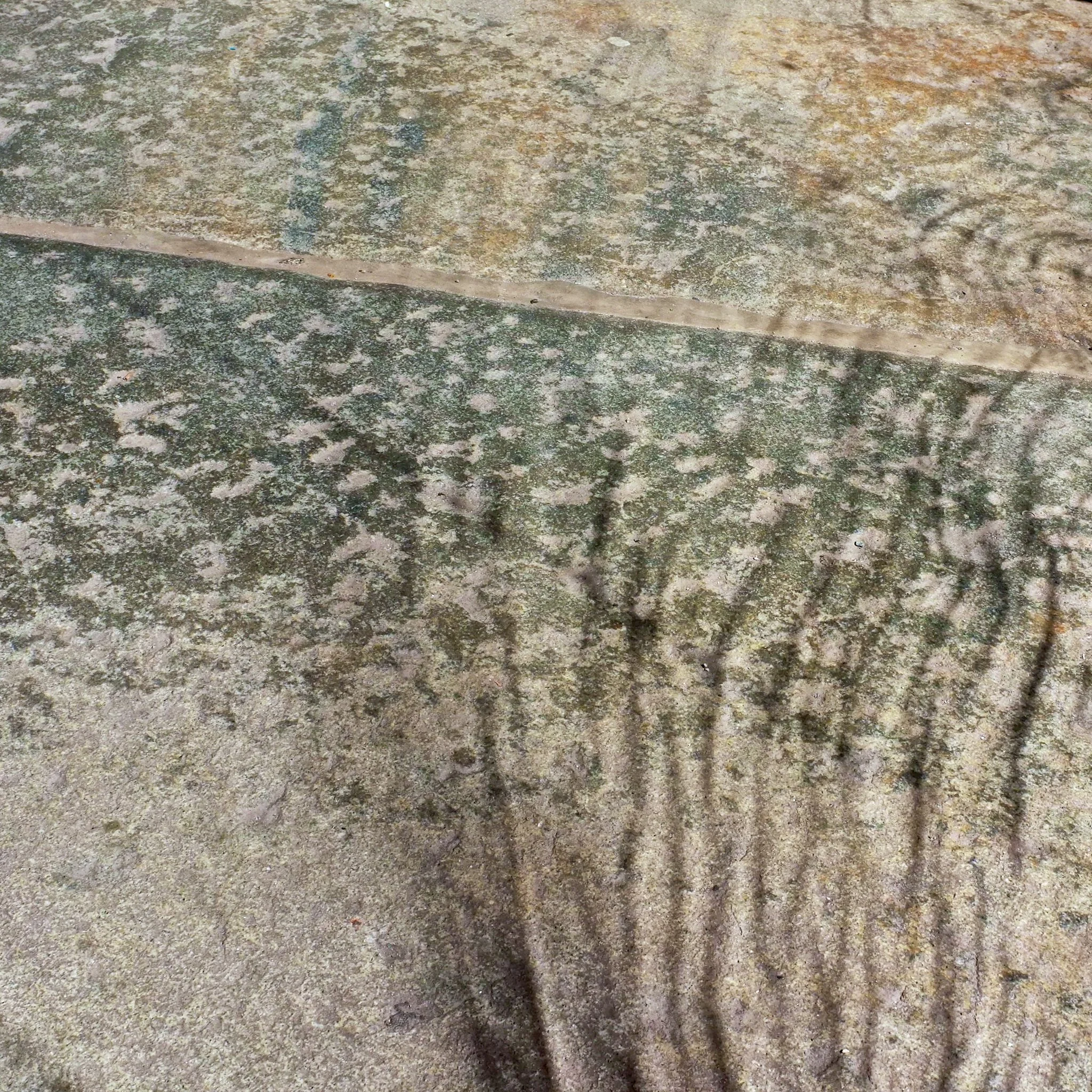 DSCF3378 - Version 2-Enhanced-Edit-Edit.jpg