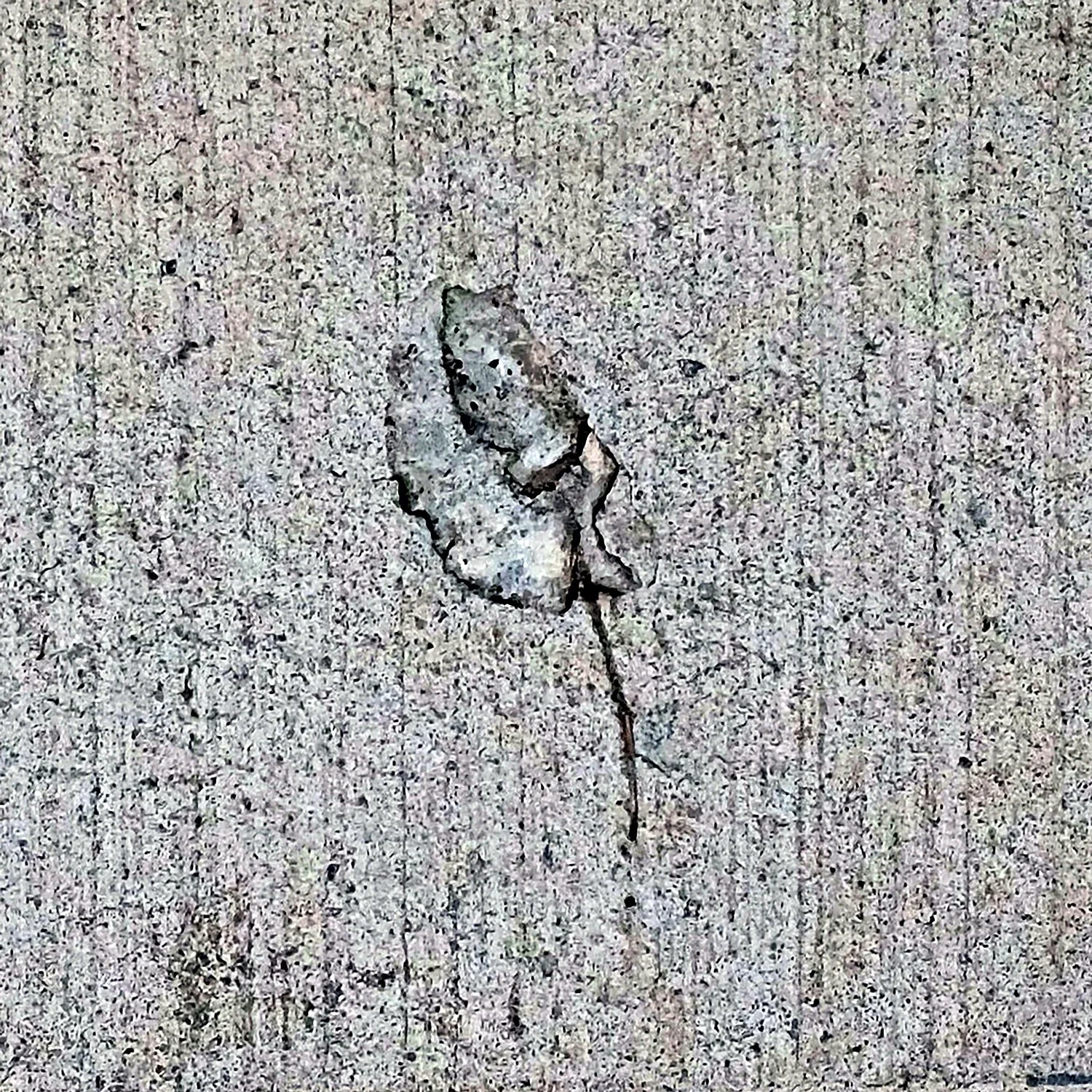 DSCF9089.jpg