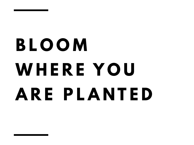 BLOOMTEXT.png