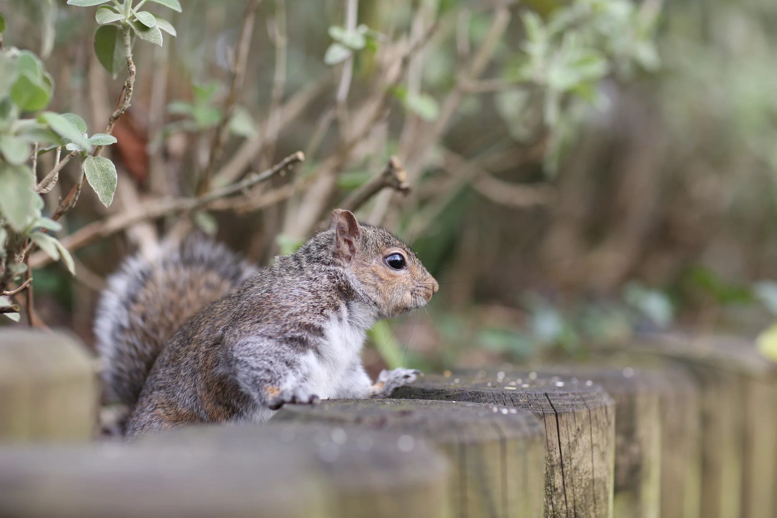 Sarah And Jessica Photography Lessons