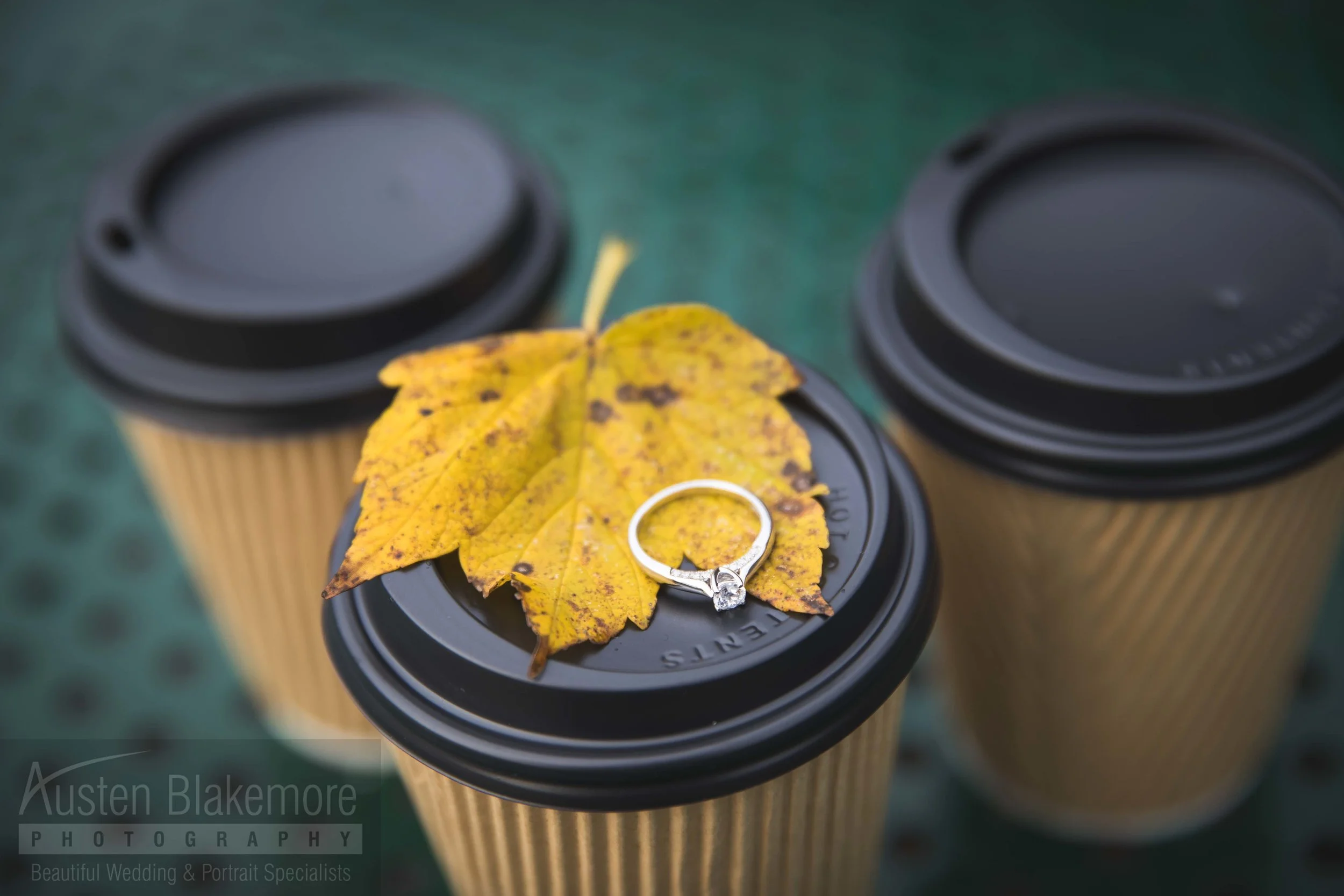 Live proposal In Arnold