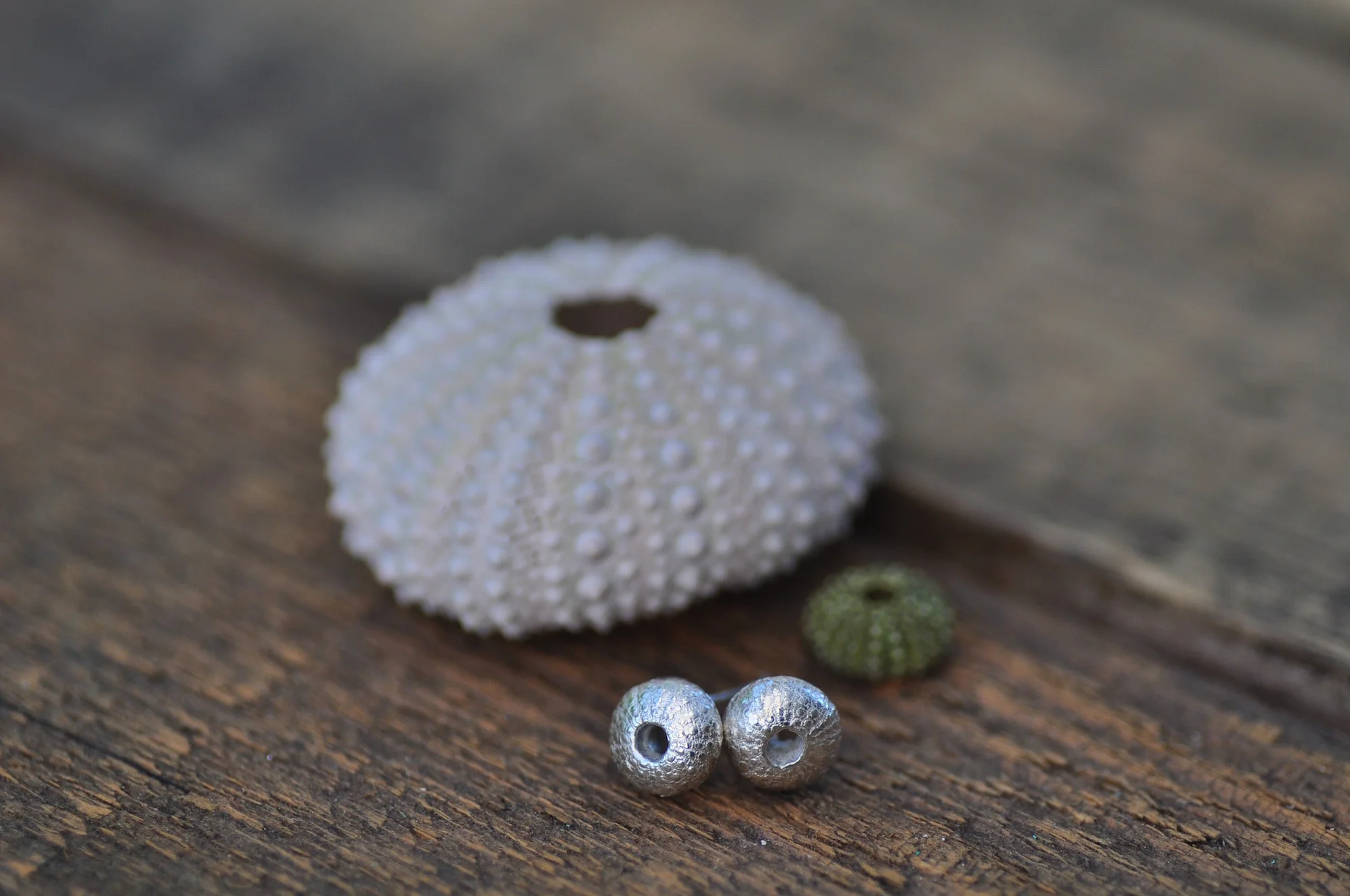 Sea urchin stud earring
