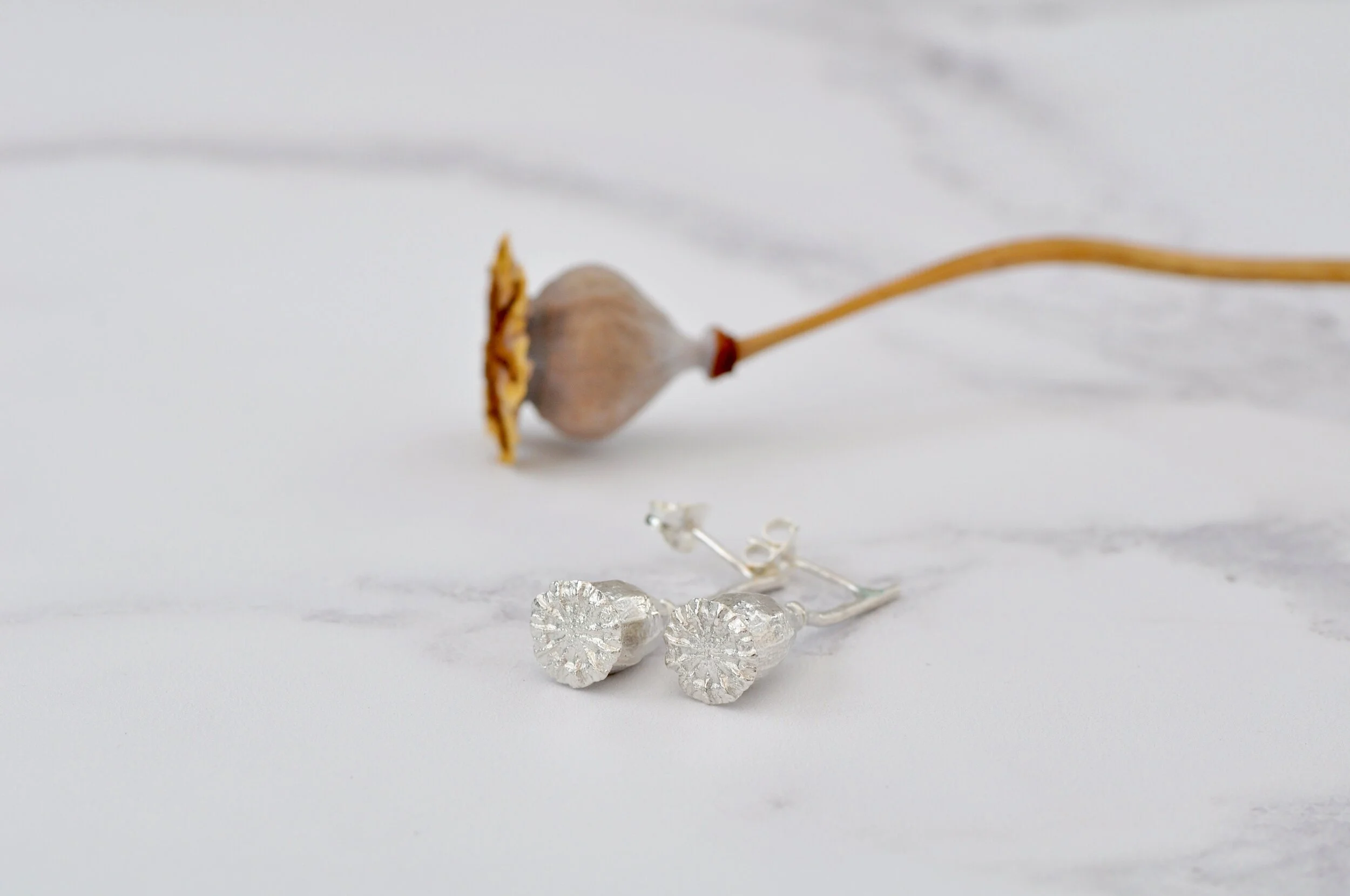 Wild poppy seed head earrings