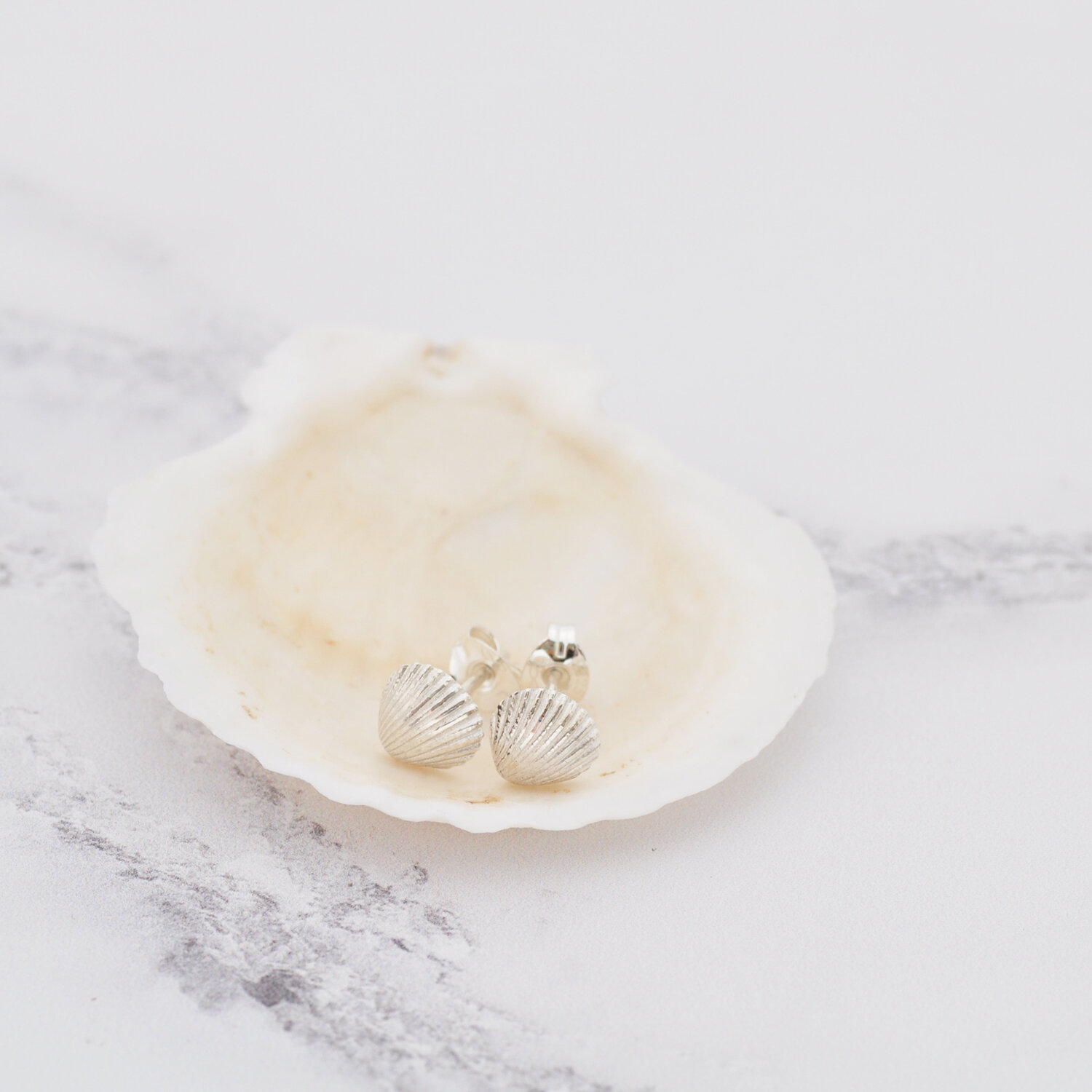 Worthing shells 1.1500.jpg