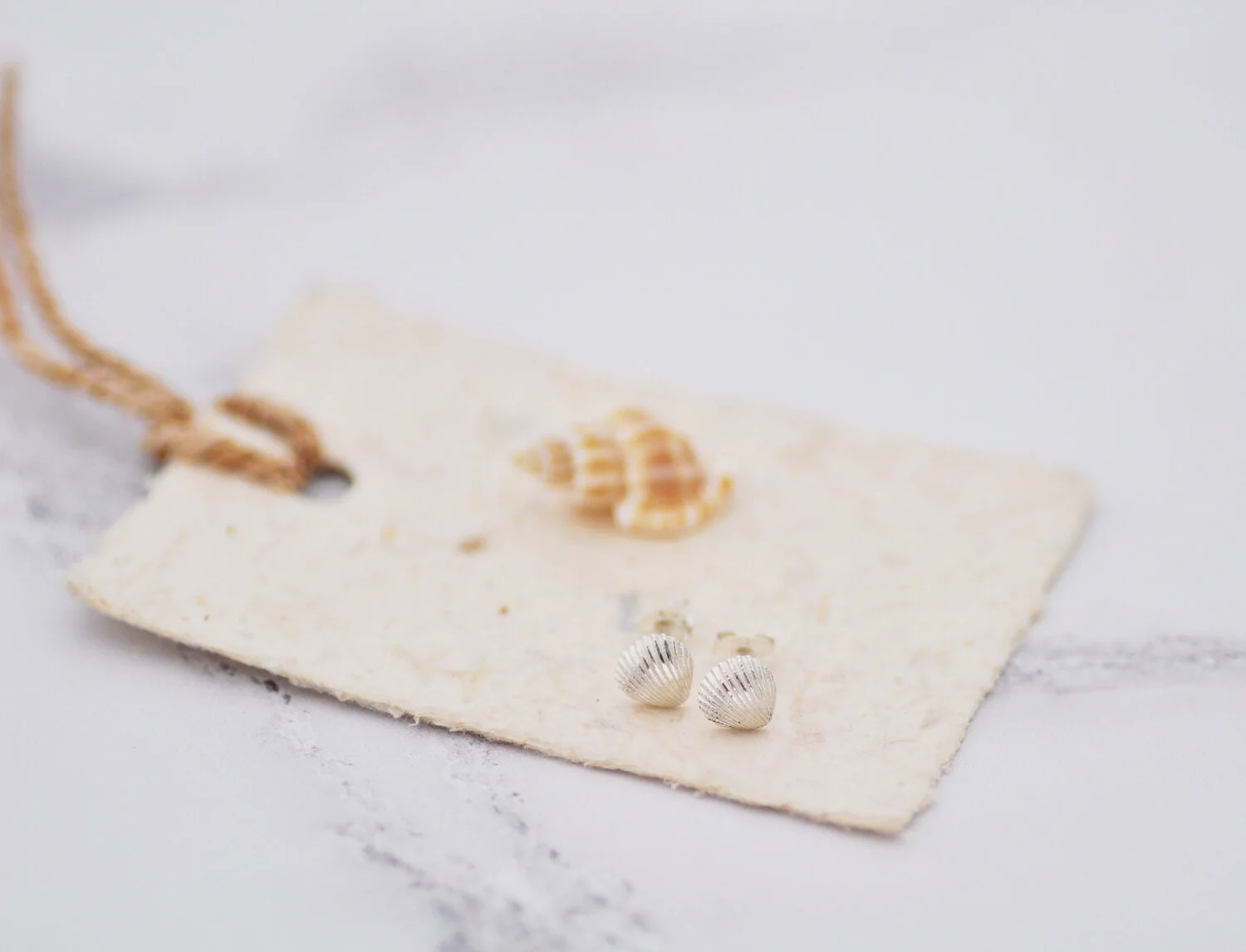 Worthing shells 1500.jpg