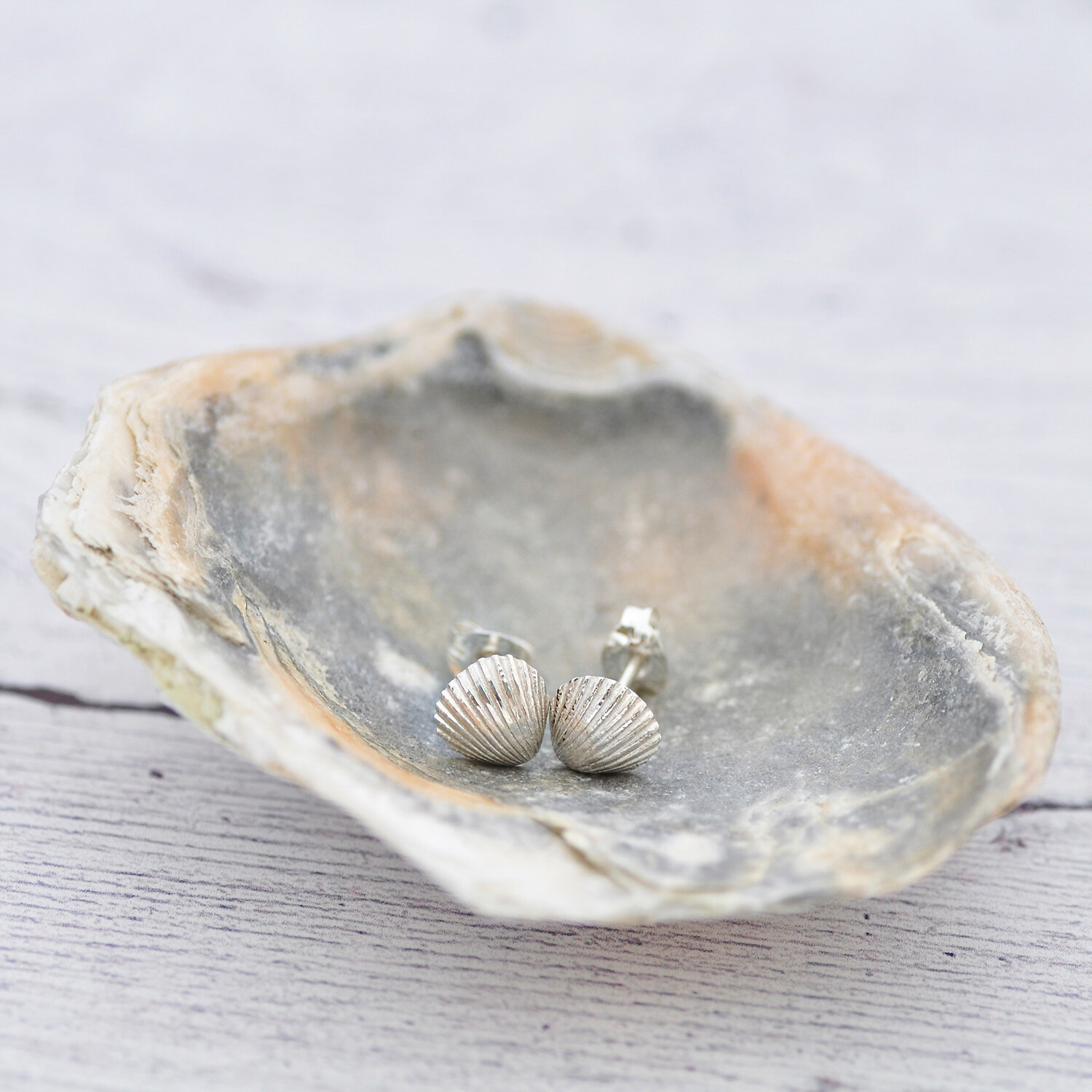 Clam shell 1.1500 LR.jpg