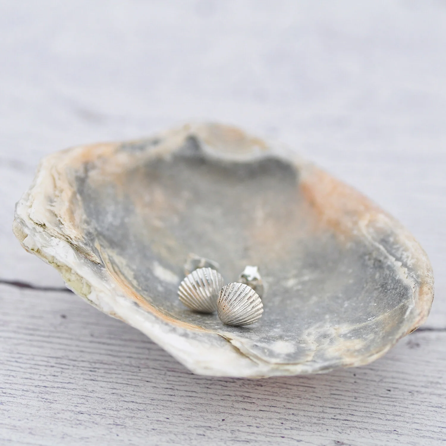 Clam shell 1500 LR.jpg