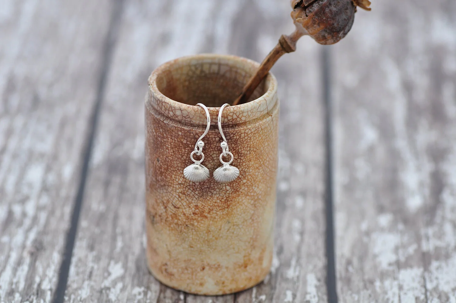 Worthing shells dangly 3.1500.jpg