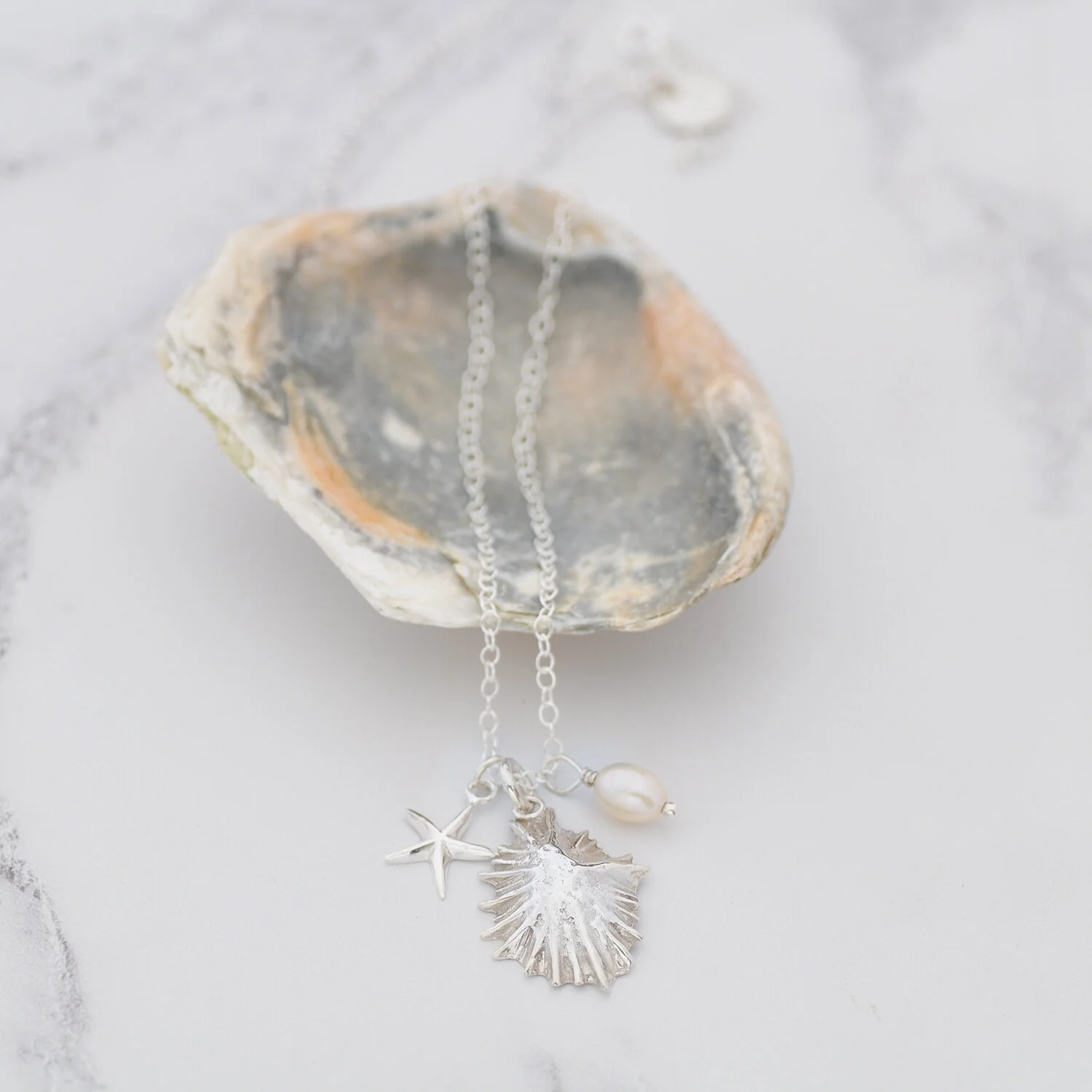 Sea Creatures5.1500.jpg