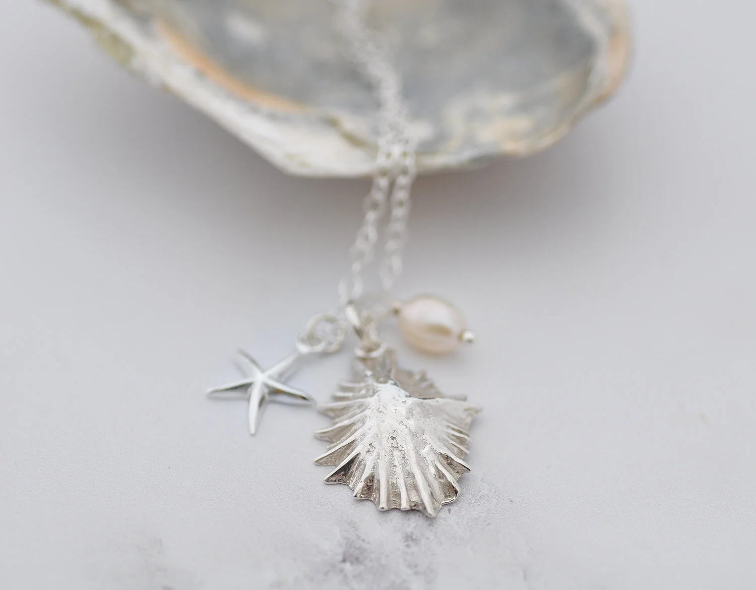 Sea Creatures 3.1500.jpg