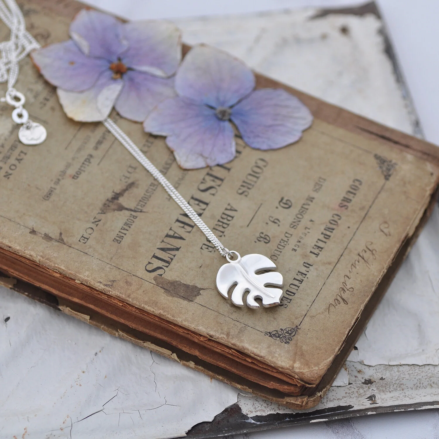 Monsterra leaf.6.jpg