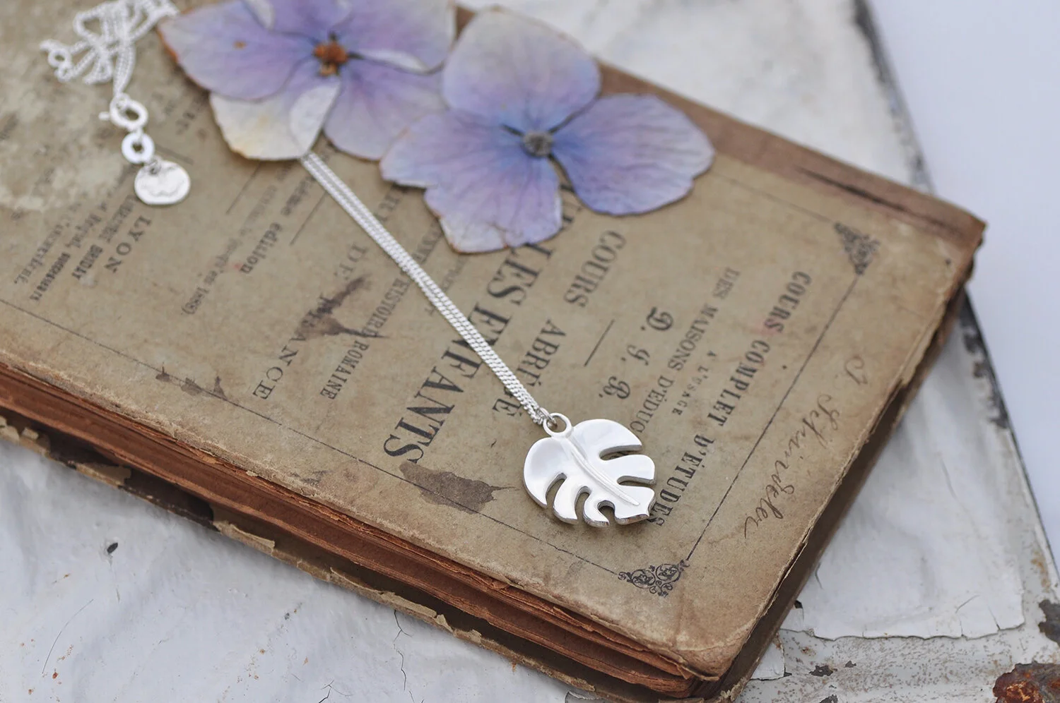 Monsterra leaf.7.jpg