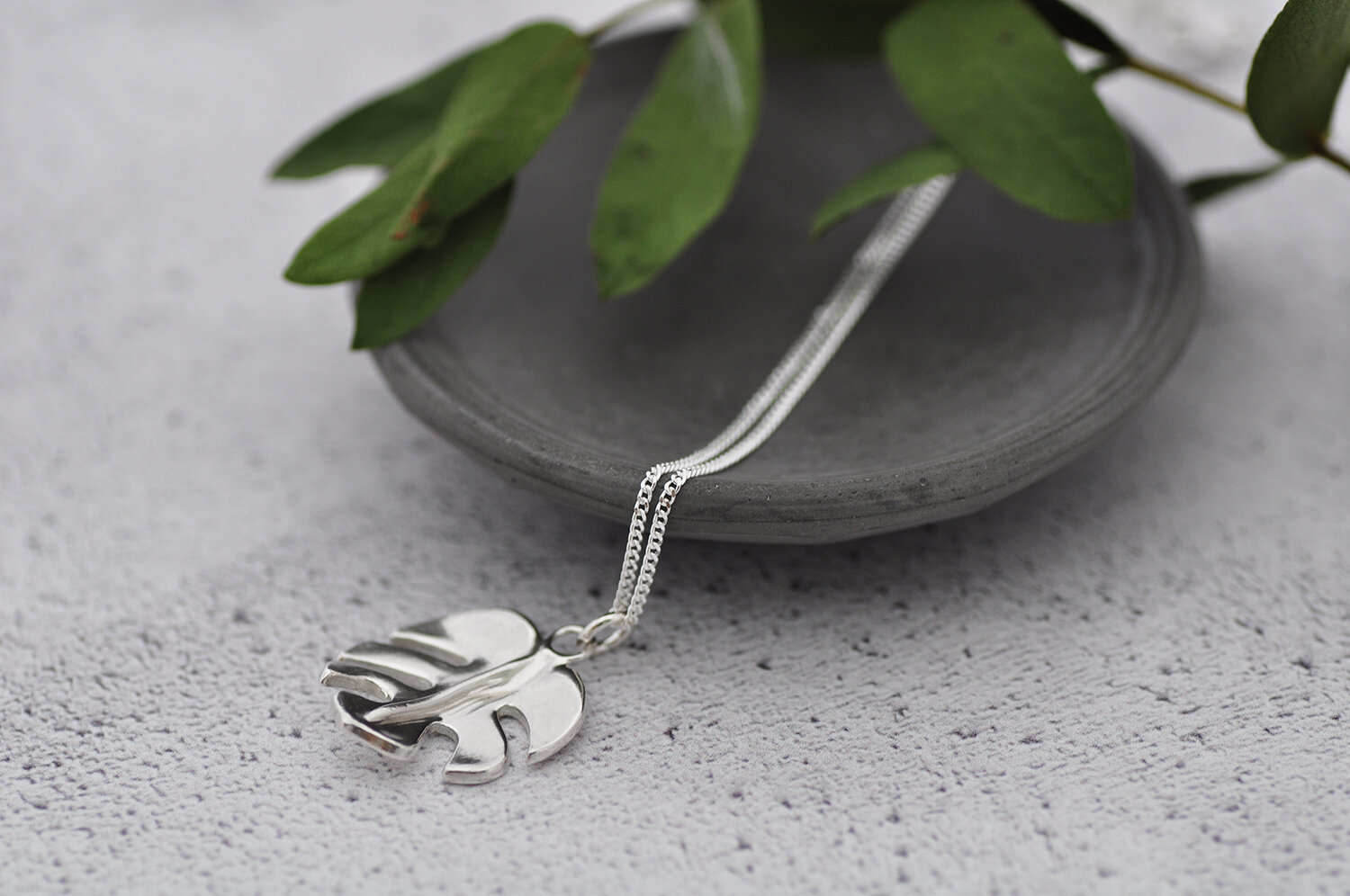 Monsterra leaf.4.jpg