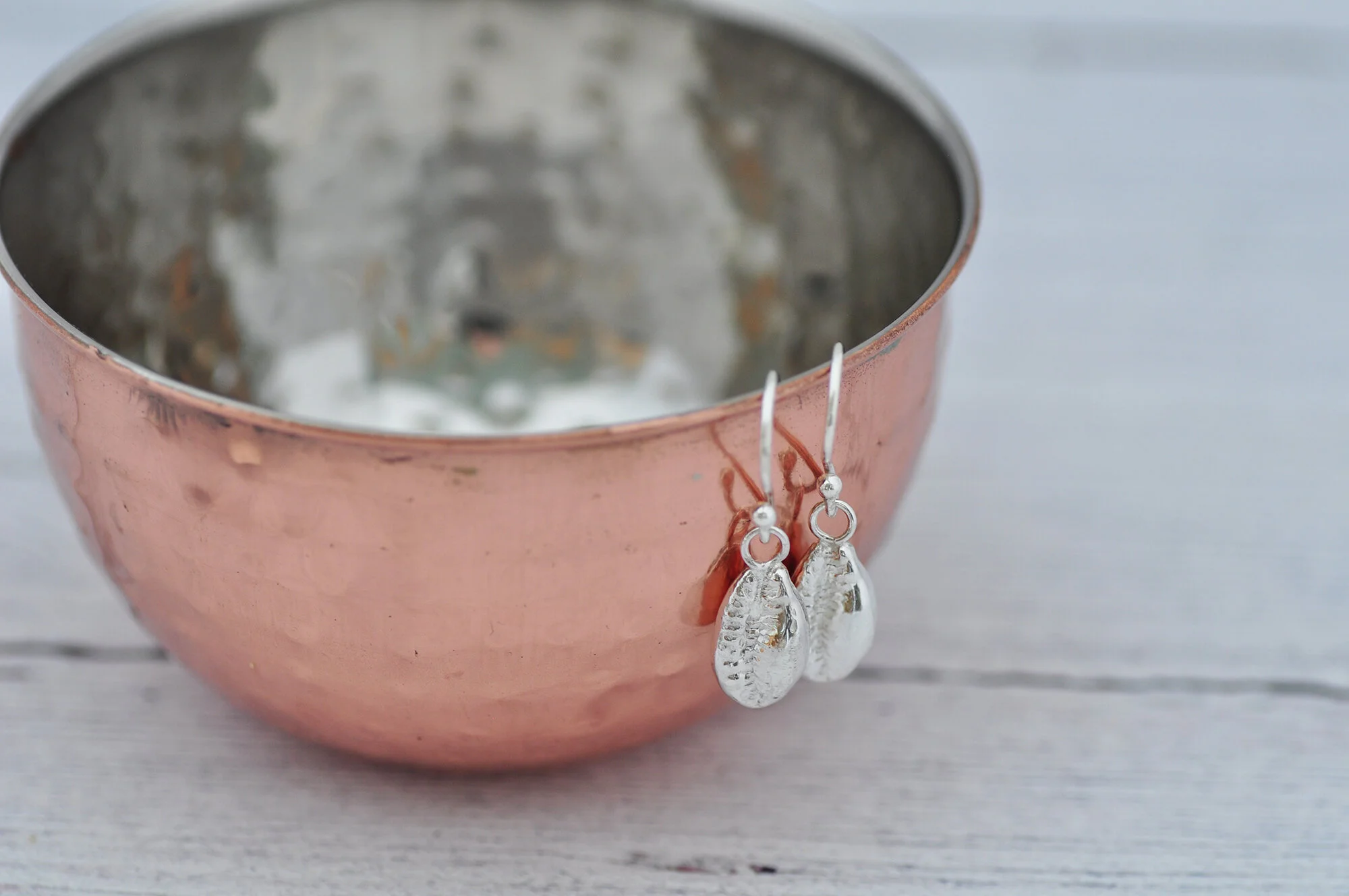 Cowrie shells.2..jpg