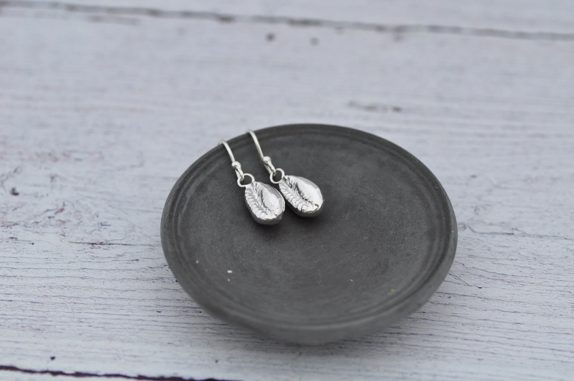 Cowrie shells.1..jpg