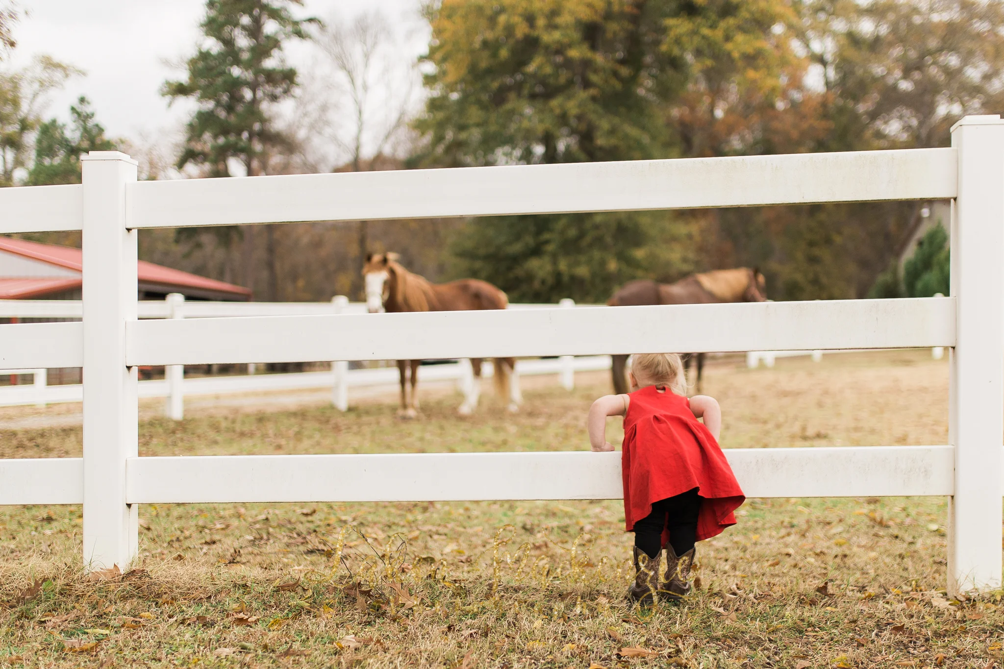 Dallas Fort Worth Lifestyle Family Photographer