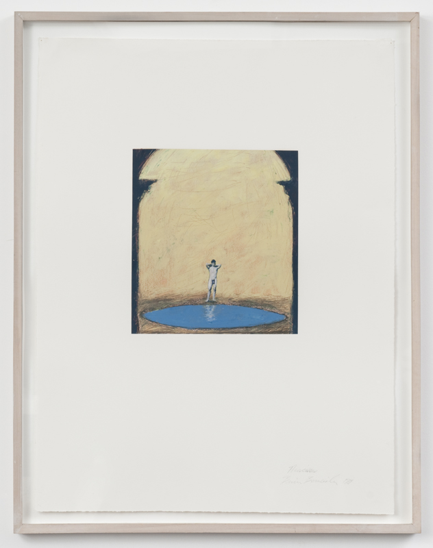 Narcissus, 1984