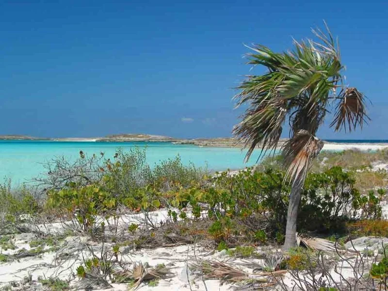 Bahamas24-119-800-600-80.jpg