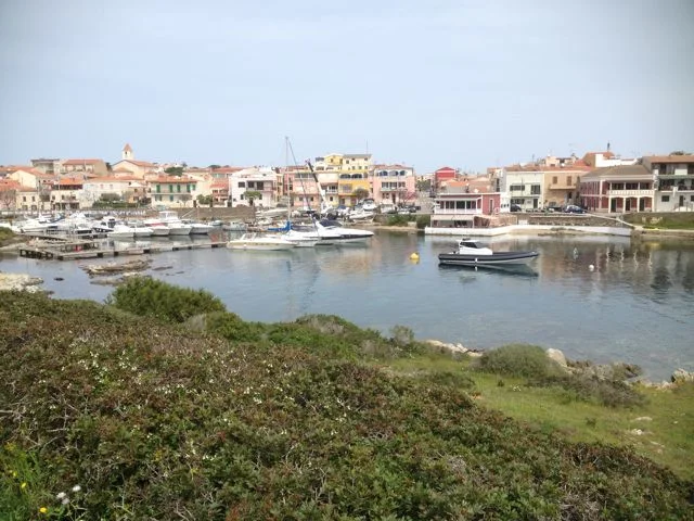 IMG_2750.jpg