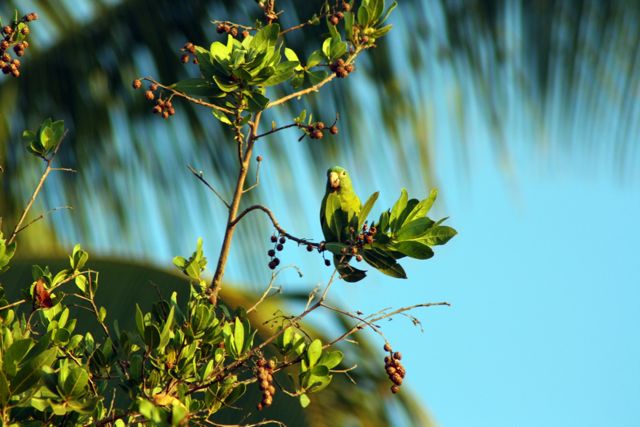 Costa Rica059.jpg