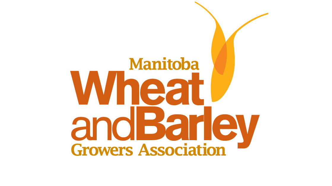 Manitoba Wheat and Barley.jpg