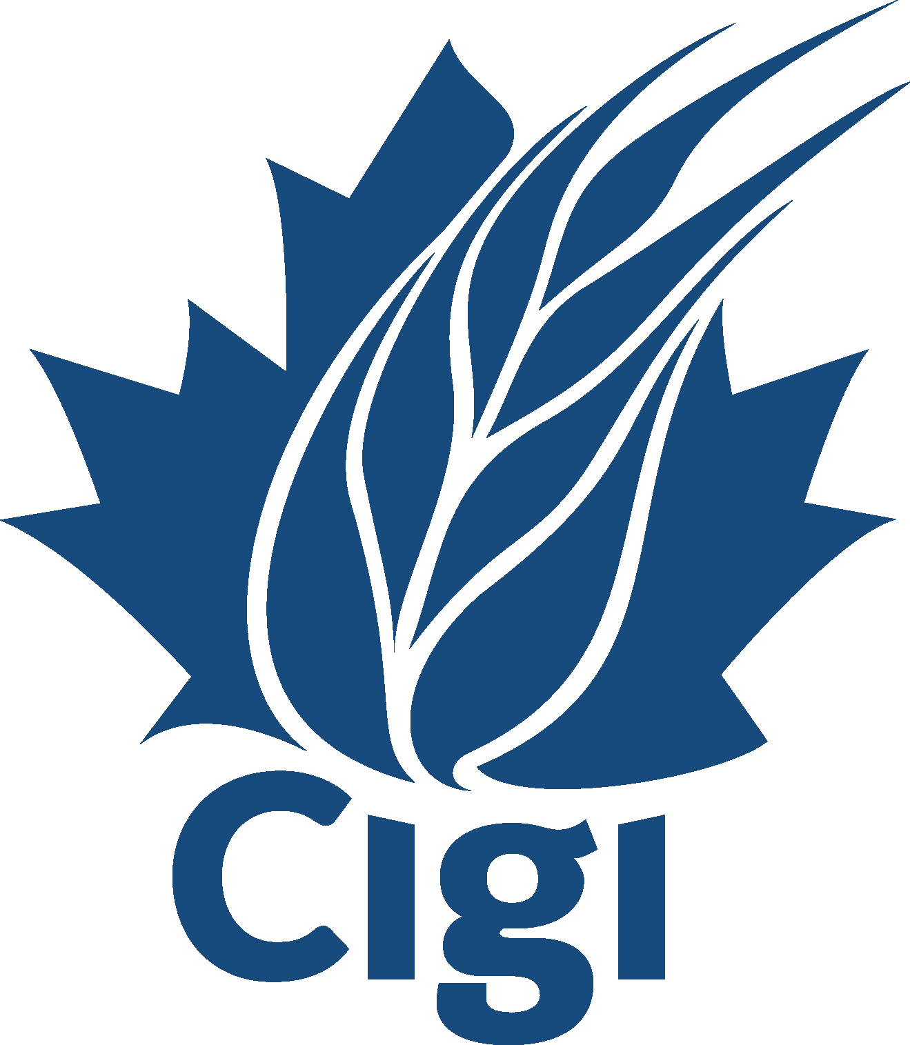 Cigi Logo_blue.jpg