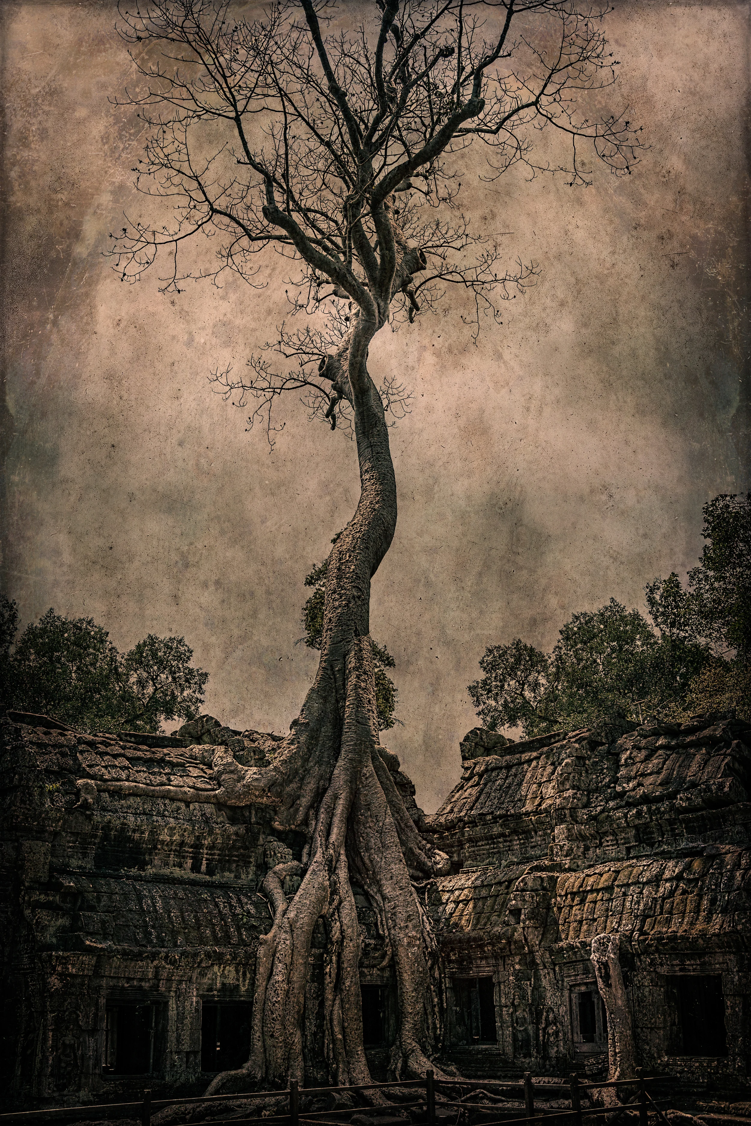 jimkennedycambodia_001-Edit full res final.jpg