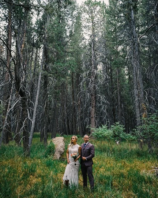 Anybody want to explore the forest? These two where totally up for it.