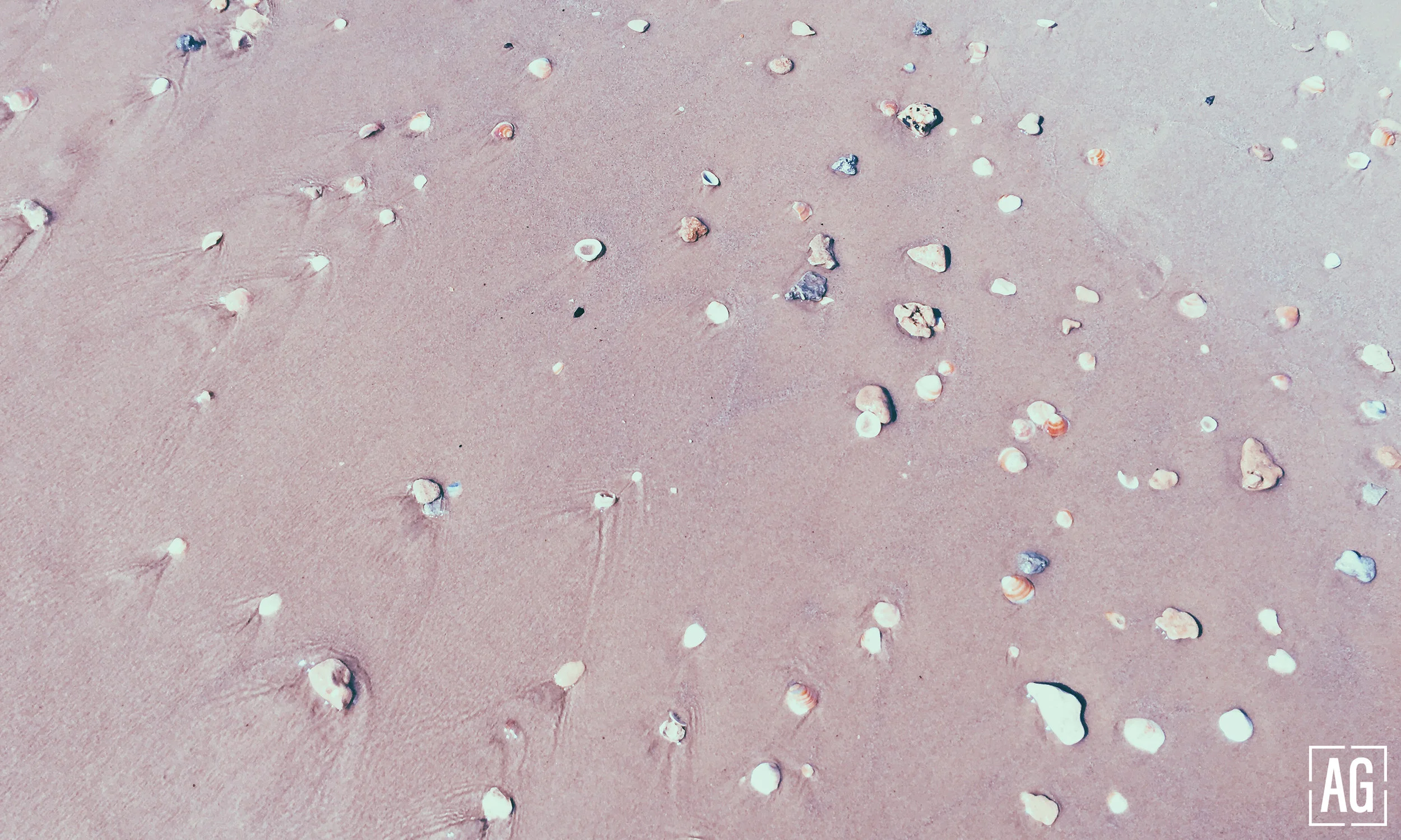 PHOTOS-FOR-SITE_shells.jpg