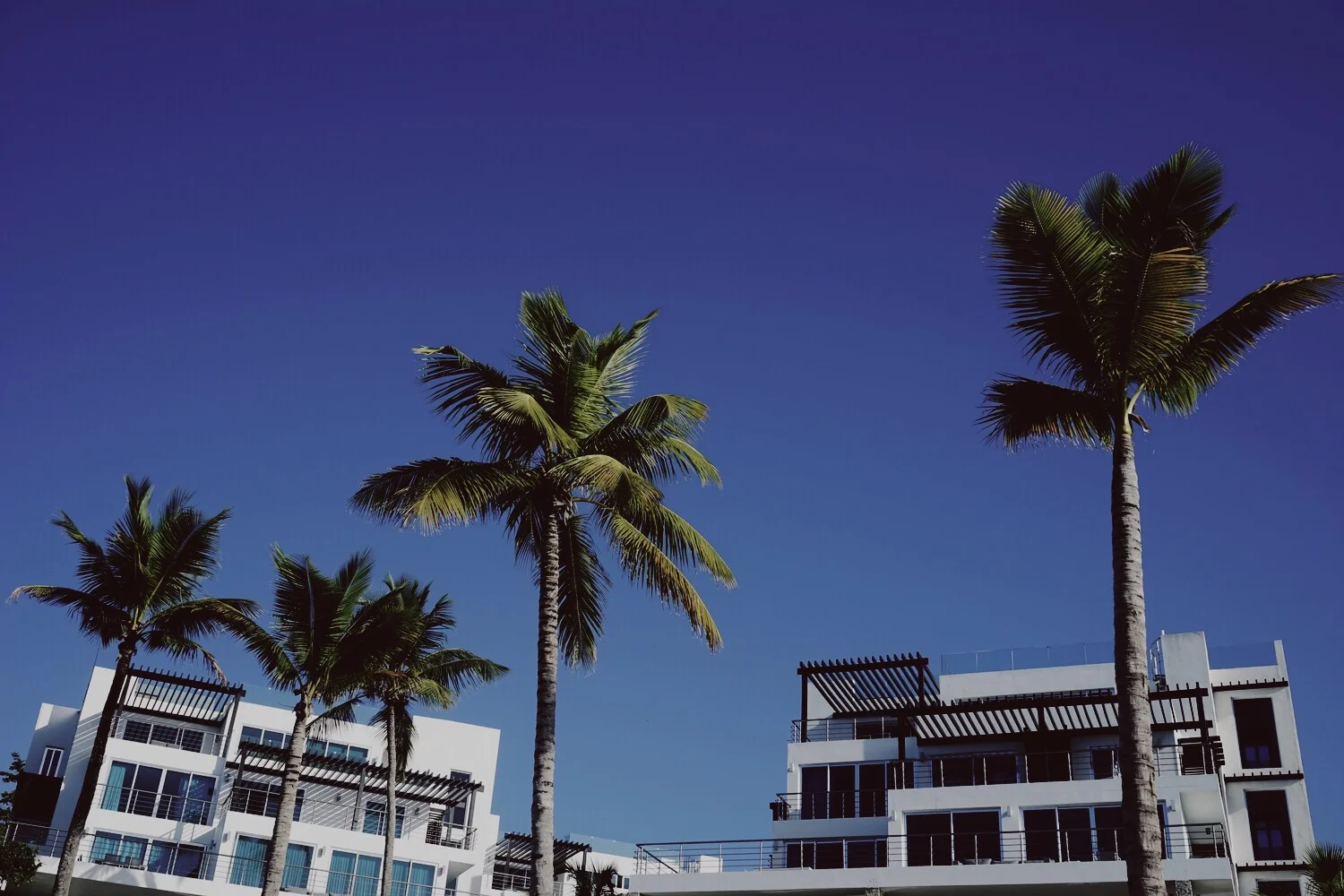 vsco5a5b0ab88f05b.jpg