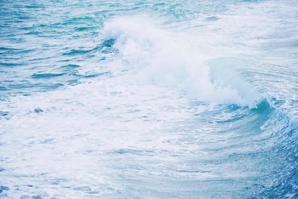 vsco5a5b0850814af.jpg