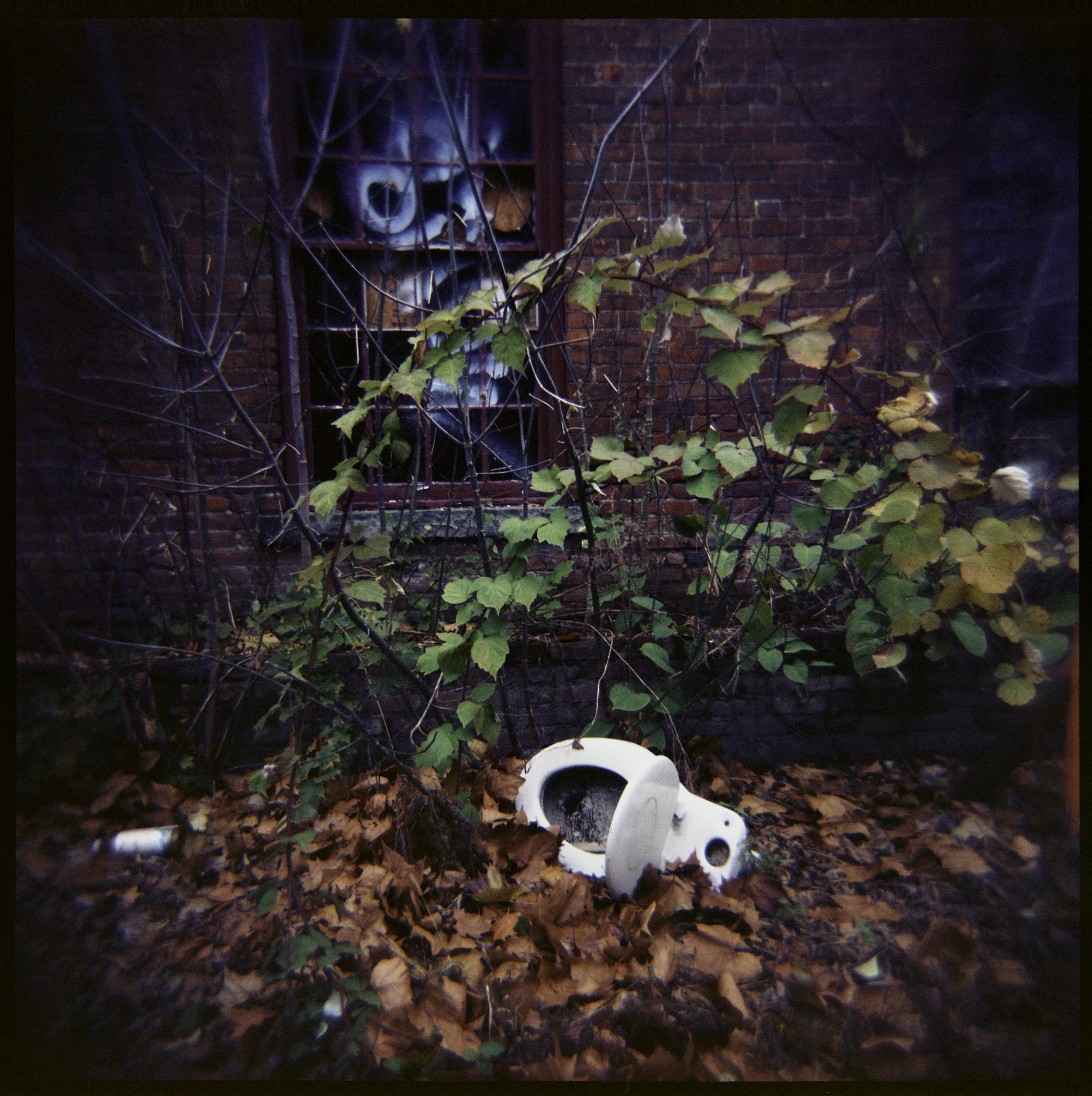 10.11.14.jpg
