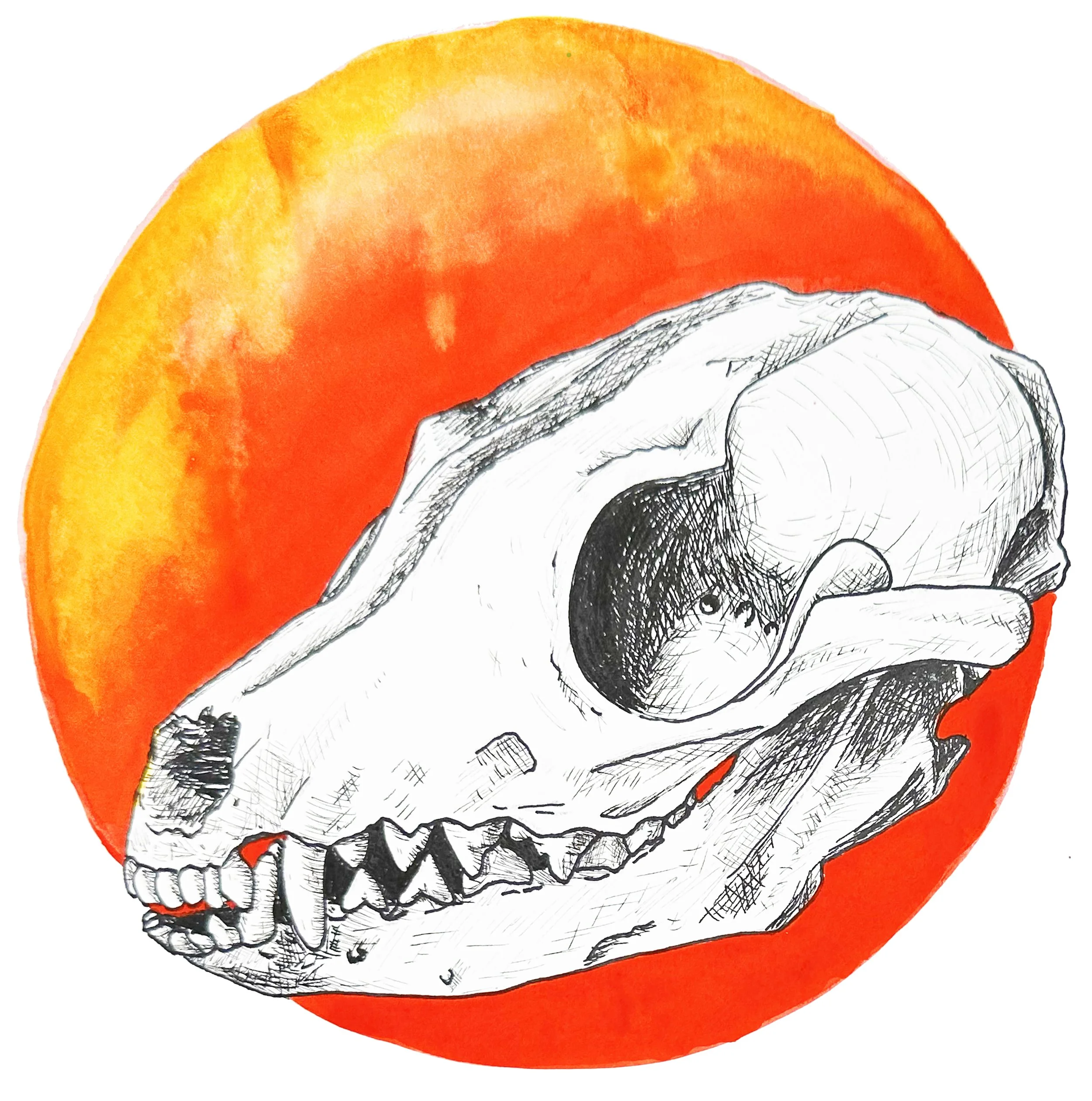 skull in red cricle  copy.jpg