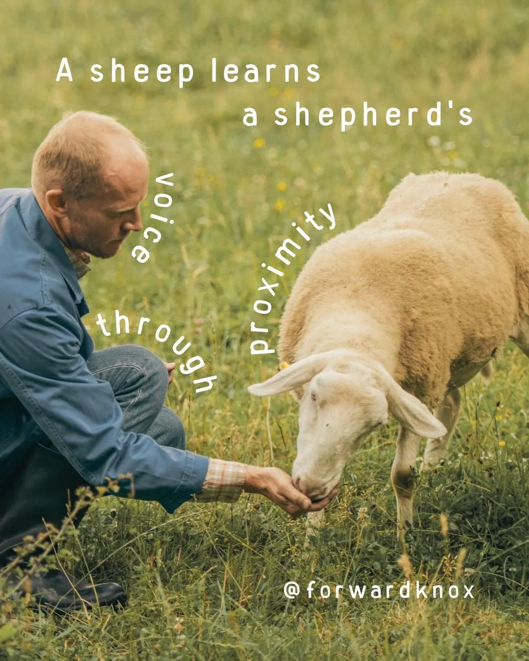 We don't learn the Shepherd's voice through occasional encounters.

We learn His voice through consistent proximity.

The closer we stay to Jesus, the more familiar His voice becomes.

Not perfection.

Not performance.

Proximity.

Spend time with Hi