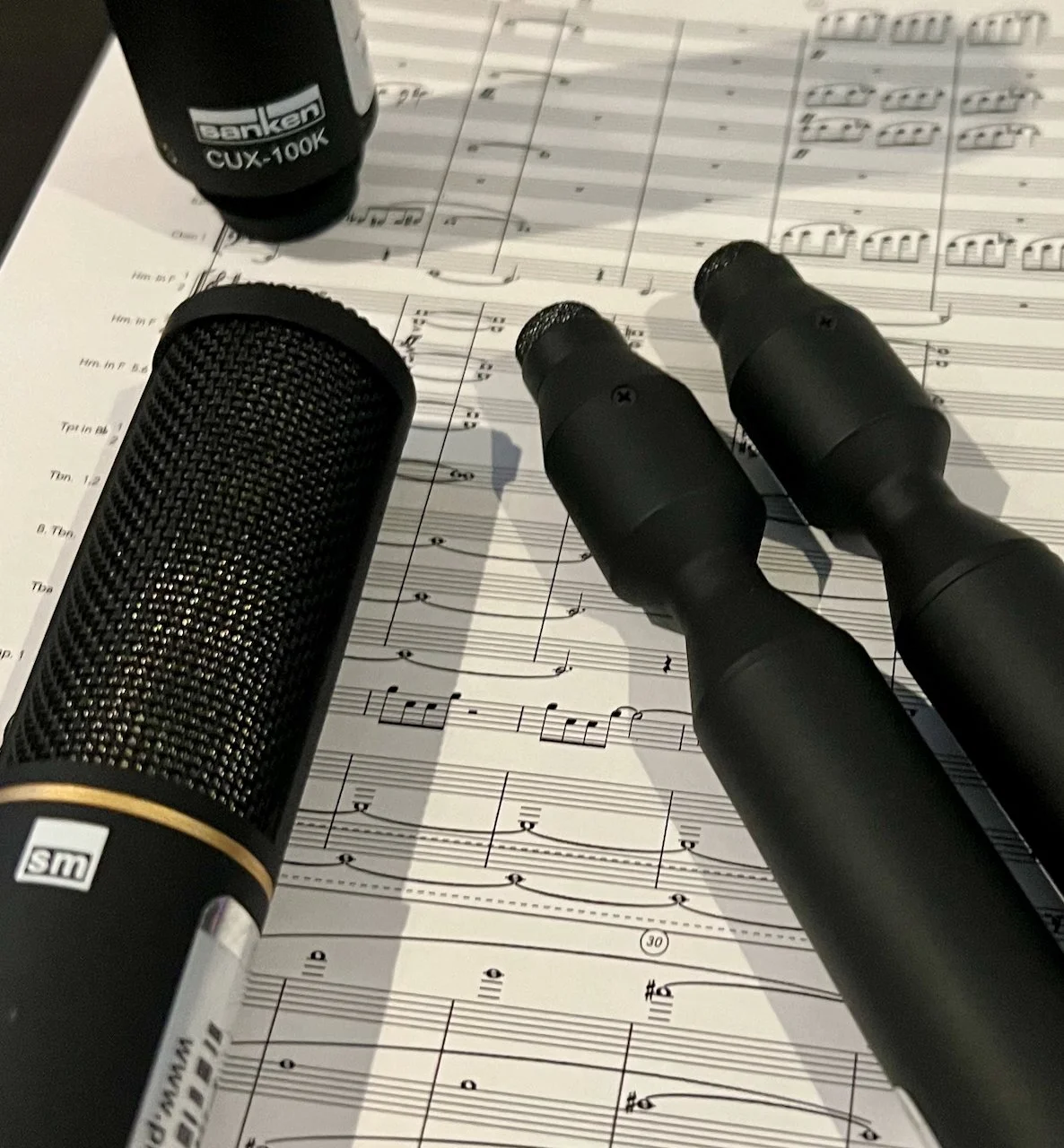 Authorship in Immersive Music