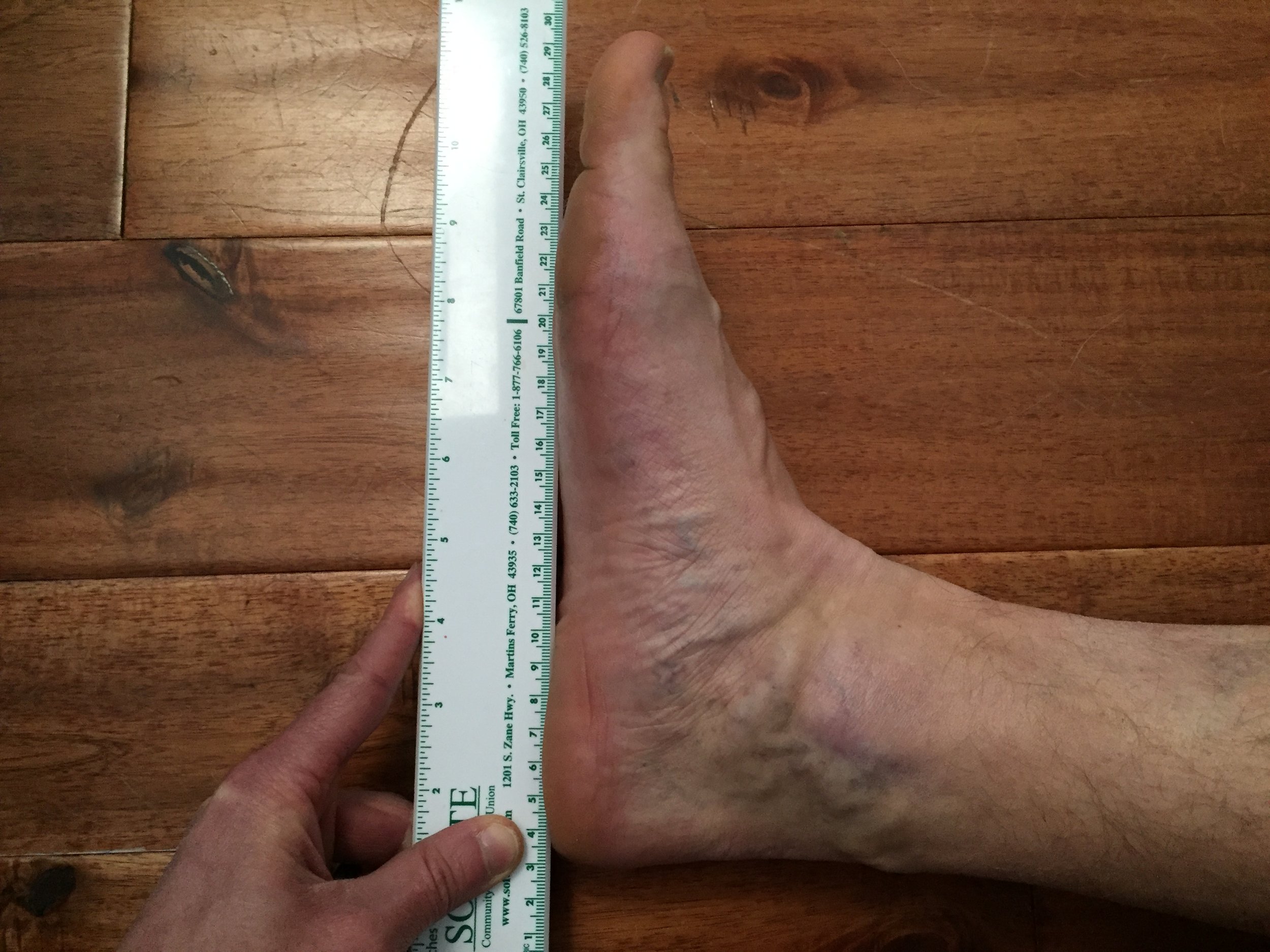 travell and simons feet muscles travell and simons feet muscles