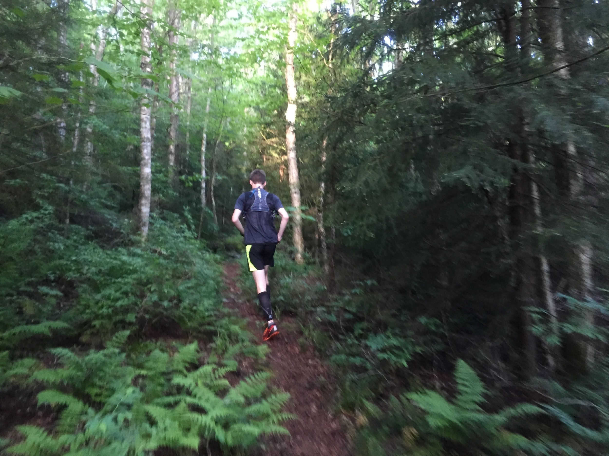 trading up to pine trees