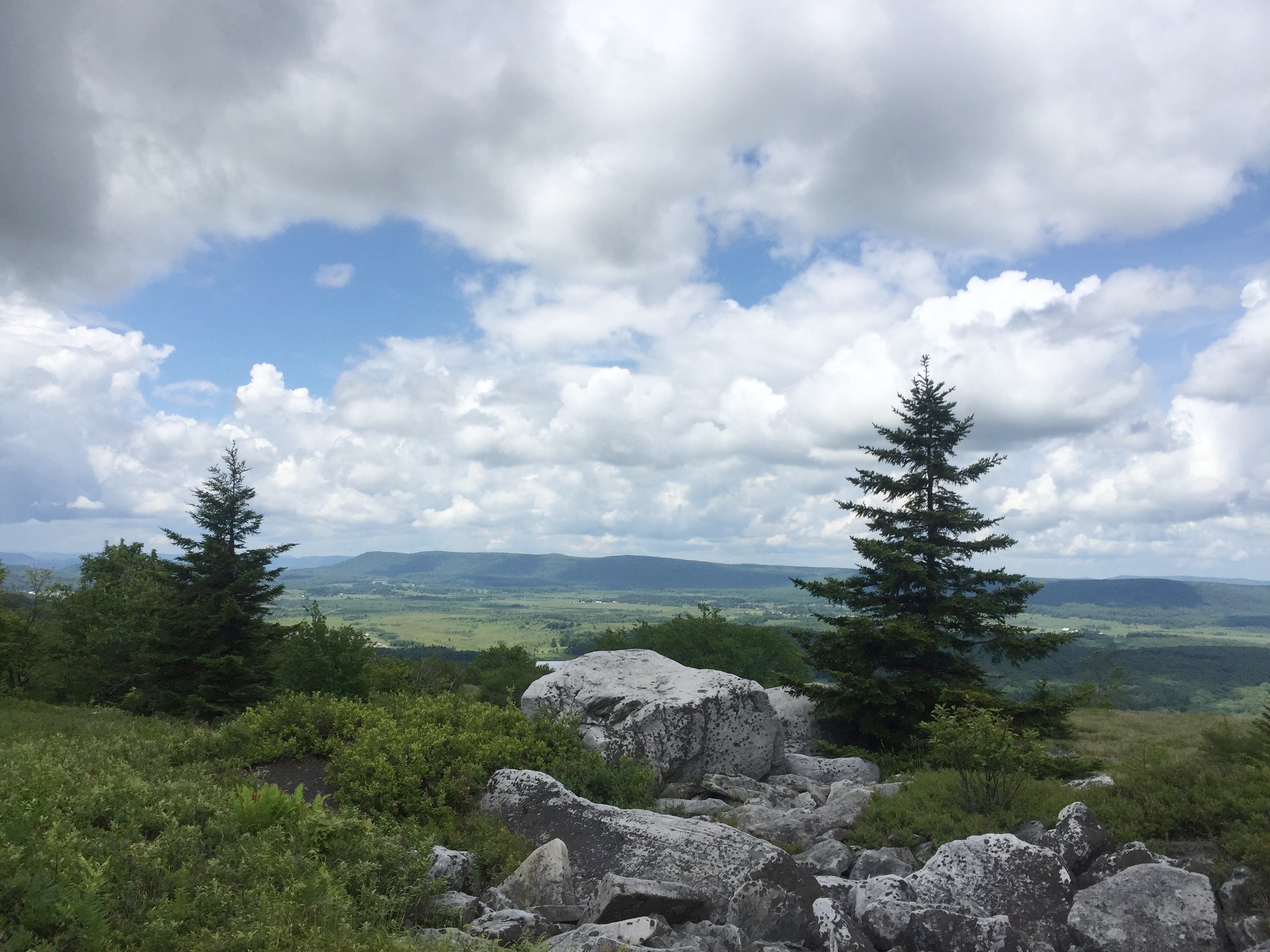 overlooking the canaan valley from Rocky Ridge before descending 