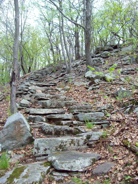 "stairs"
