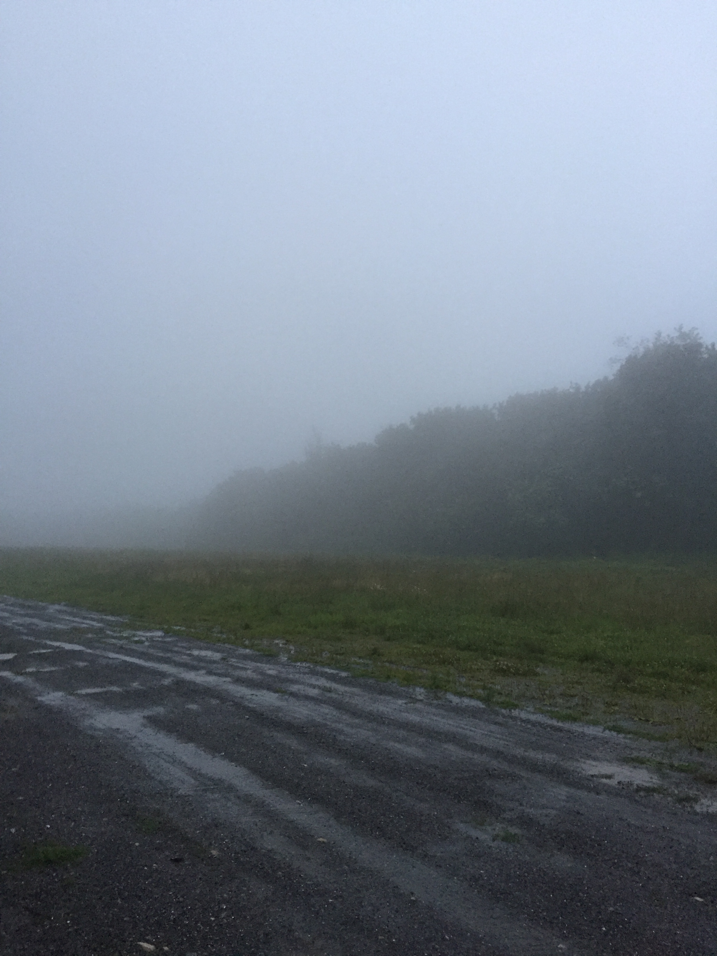 6:00 AM, fog's actually thinning out