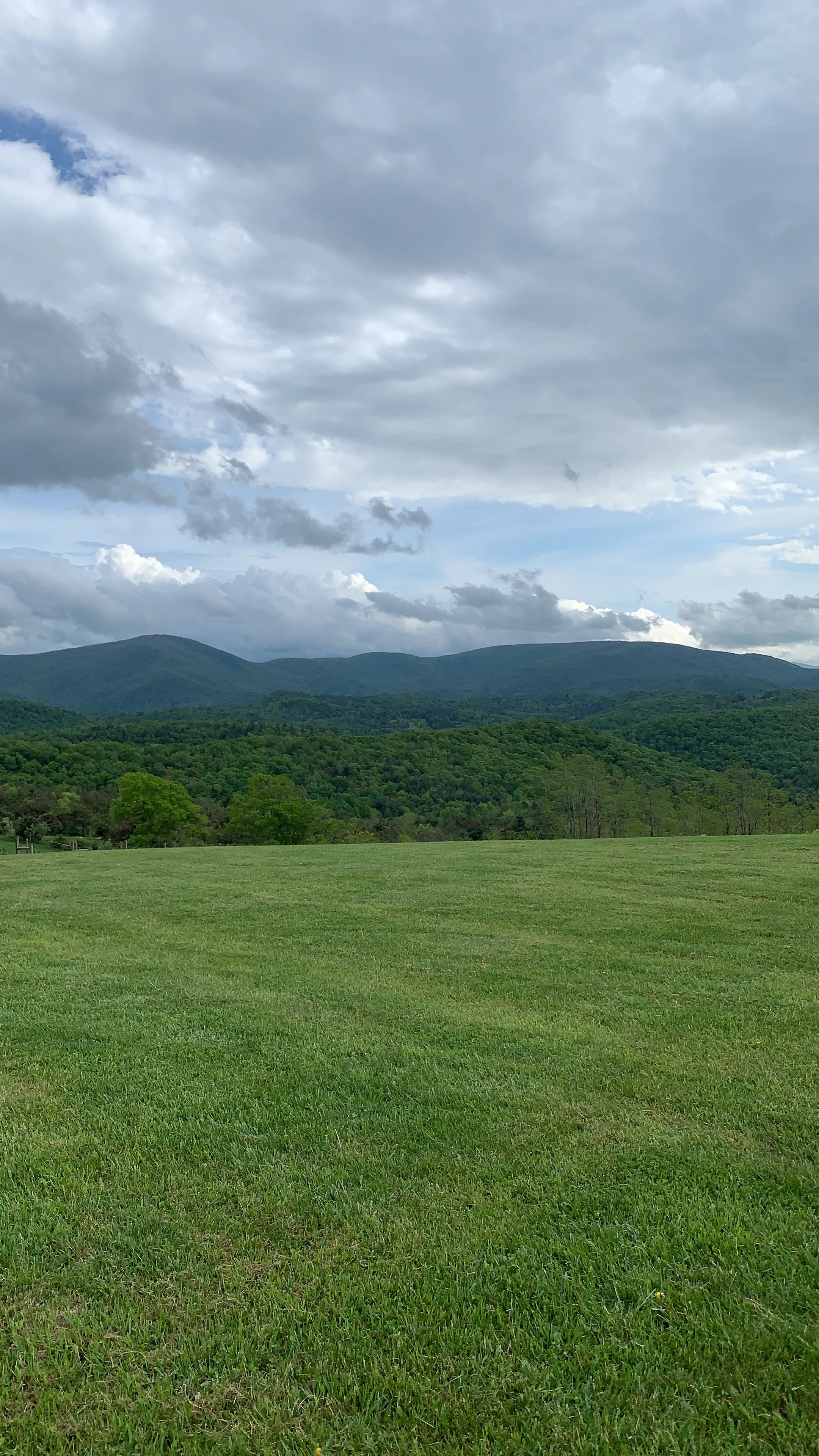 Before the Rains