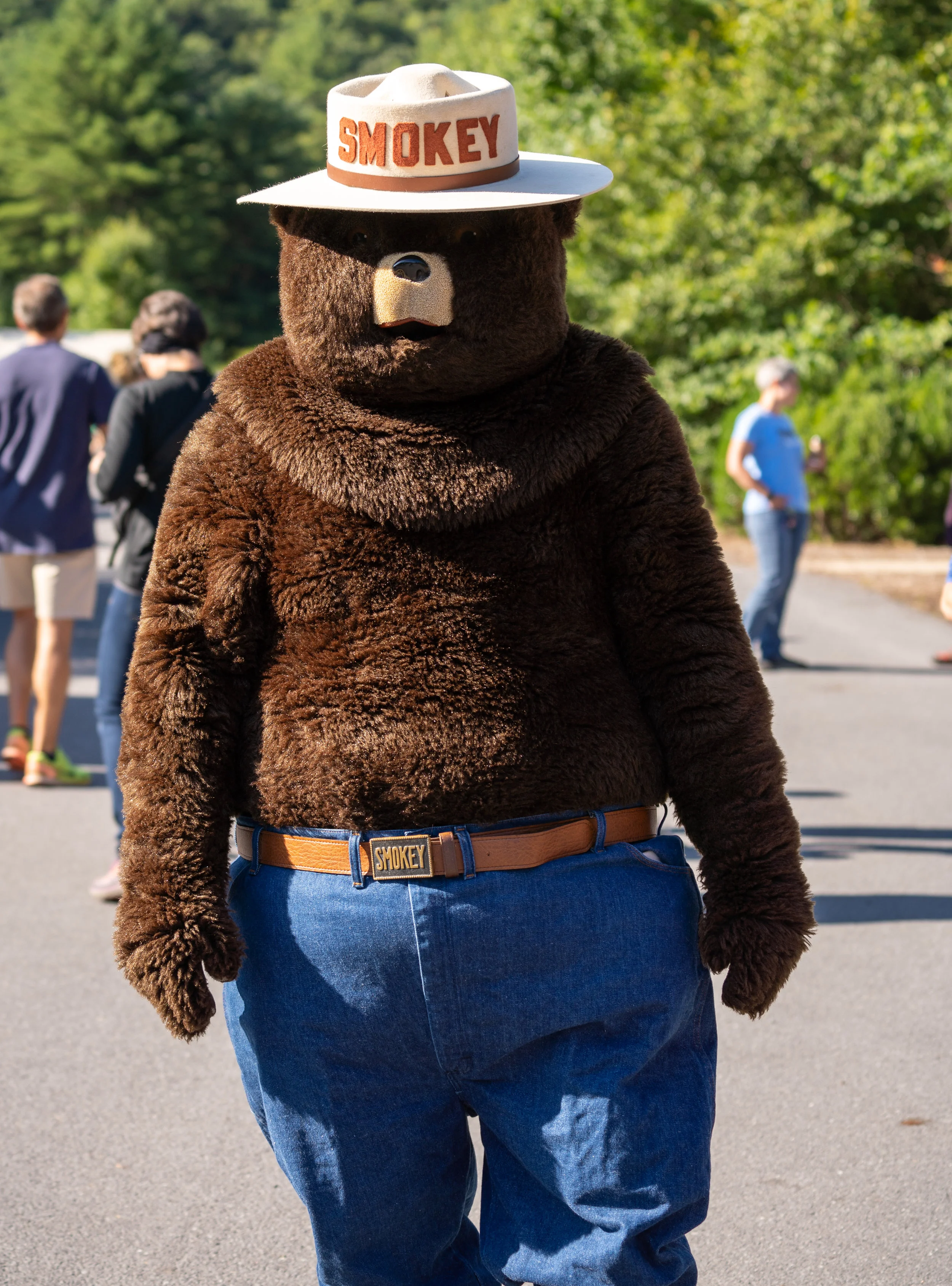 Where were you when I needed you to comfort me the most, at 3 A.M., SMOKEY? It’s a little known fact that Smokey “Da Bear” is the head of the Fuzzy Friends Drug Cartel. There is a fully automatic weapon in Those 80’s denim jeans and that’s why he never wears Jorts, even on hot days like This. Truth. Just look at those Eyes.