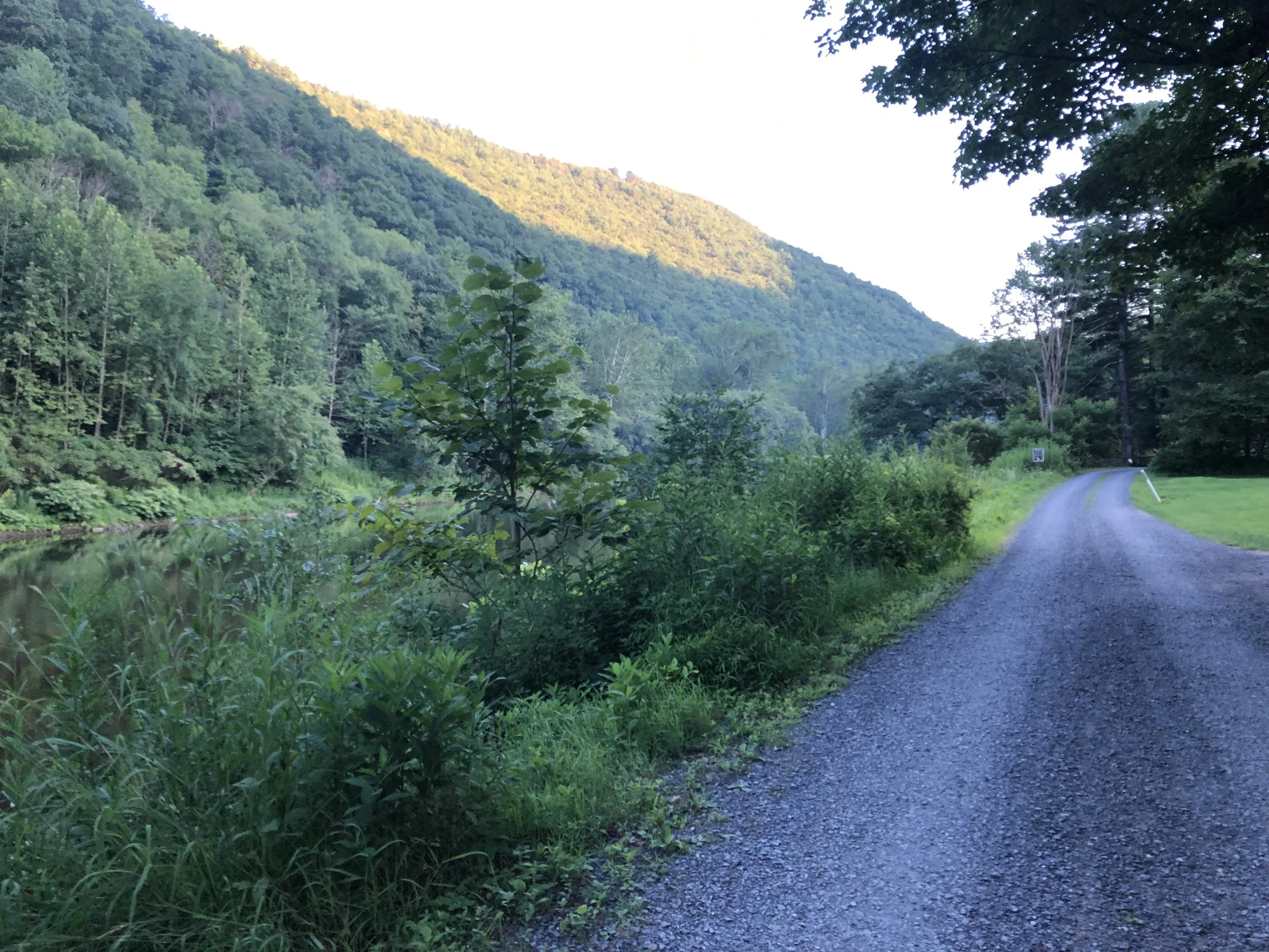 IMG_0648.jpg