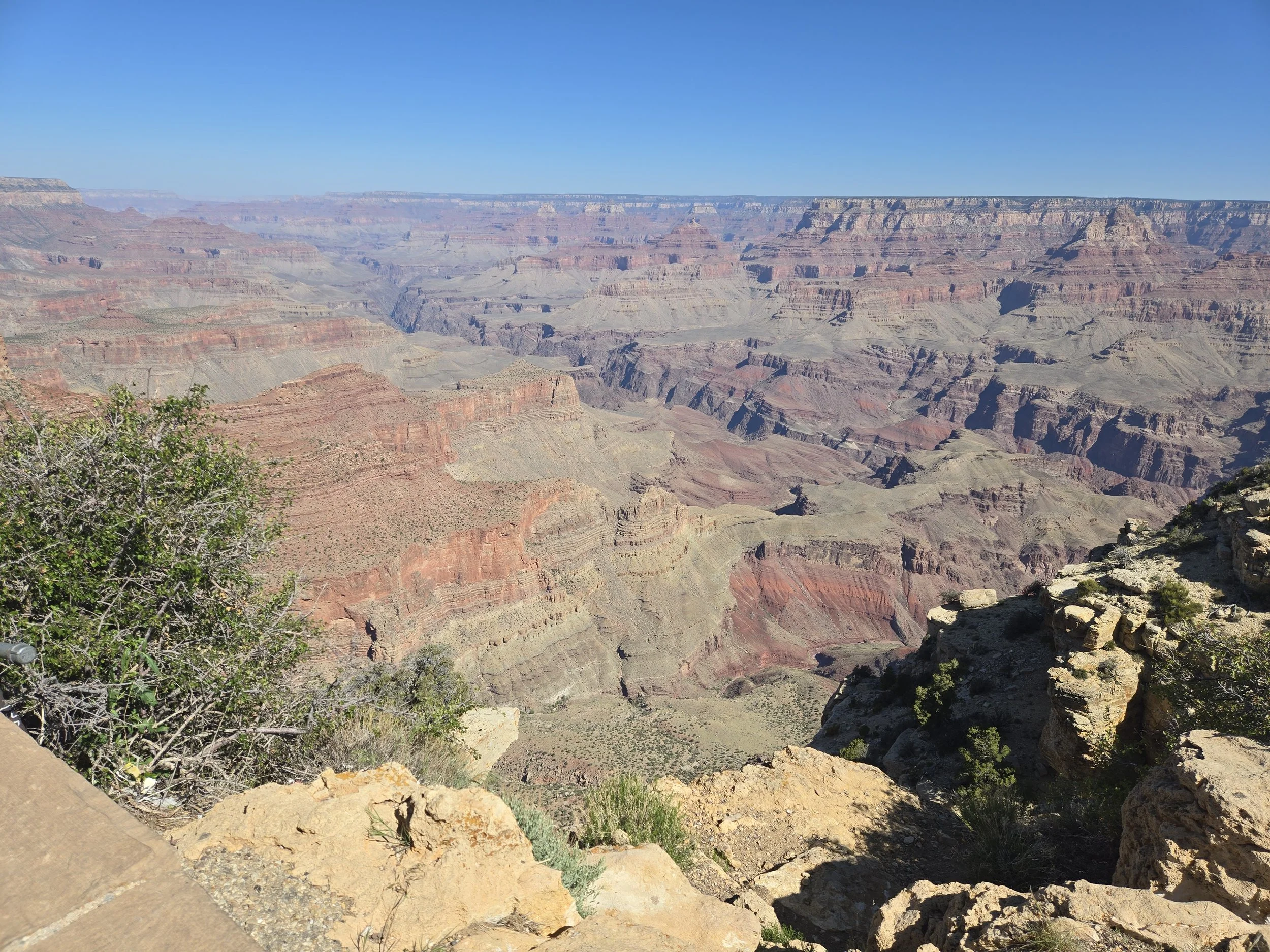 Celebrating the hard work of a few 2025 Mountain Ridge athletes