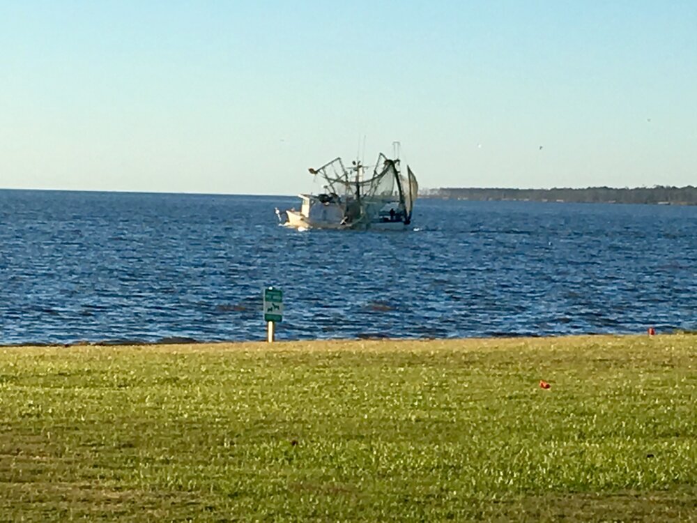 Shrimping in Alabama