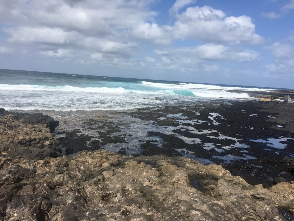 beaches of sao vicente