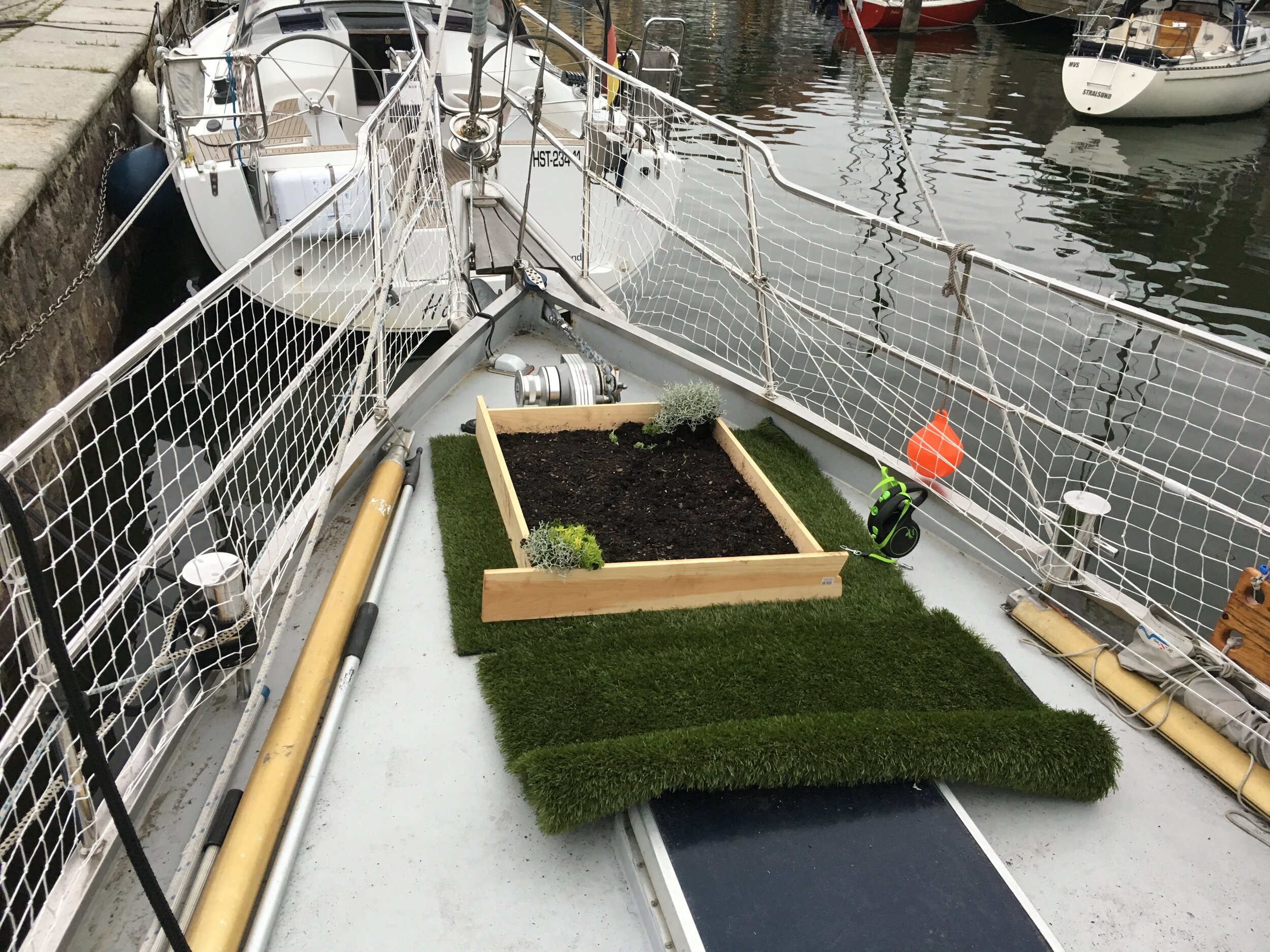 creative potty training for dogs on boats