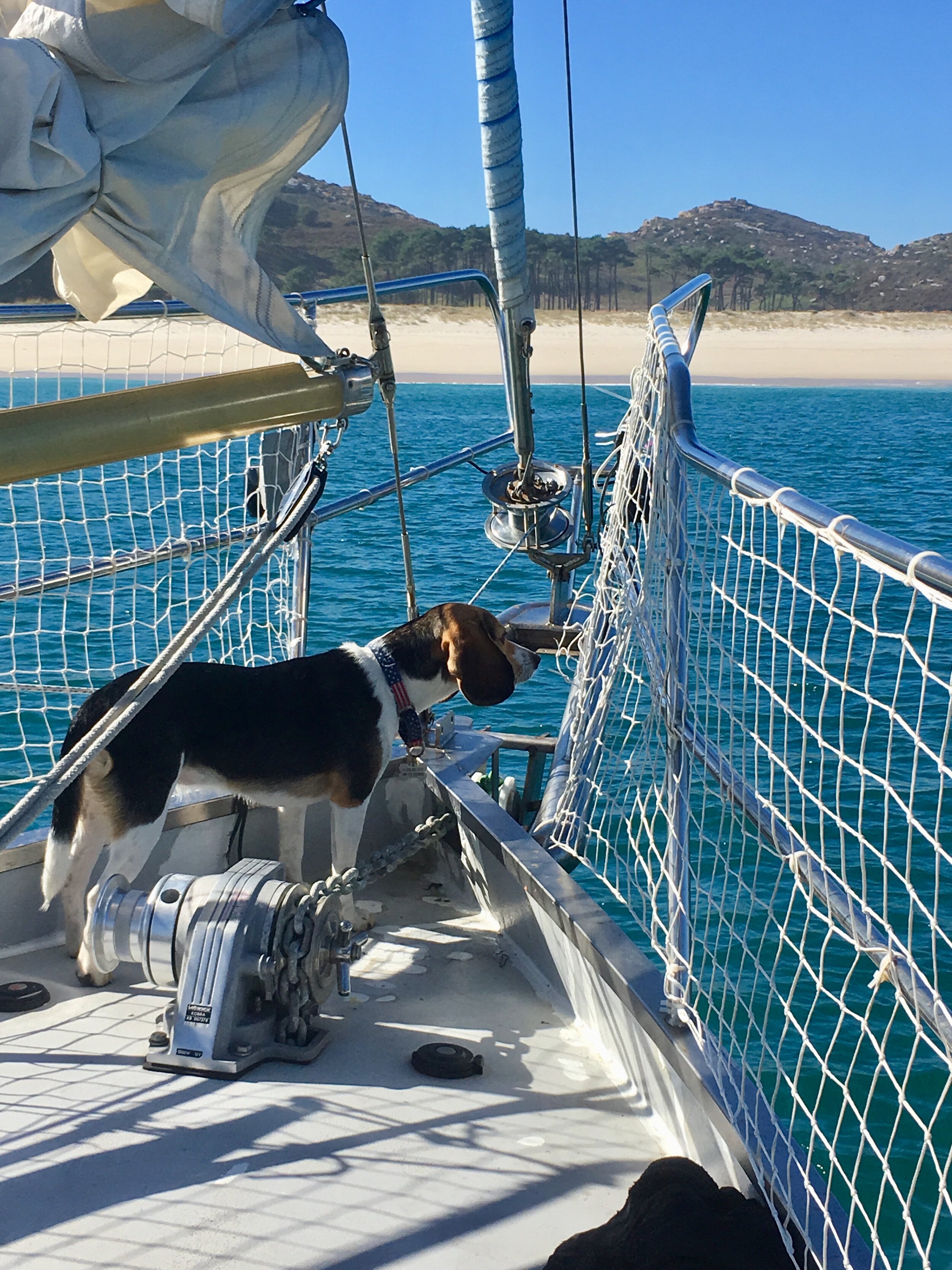 Sailing dogs at Playa de Rodas